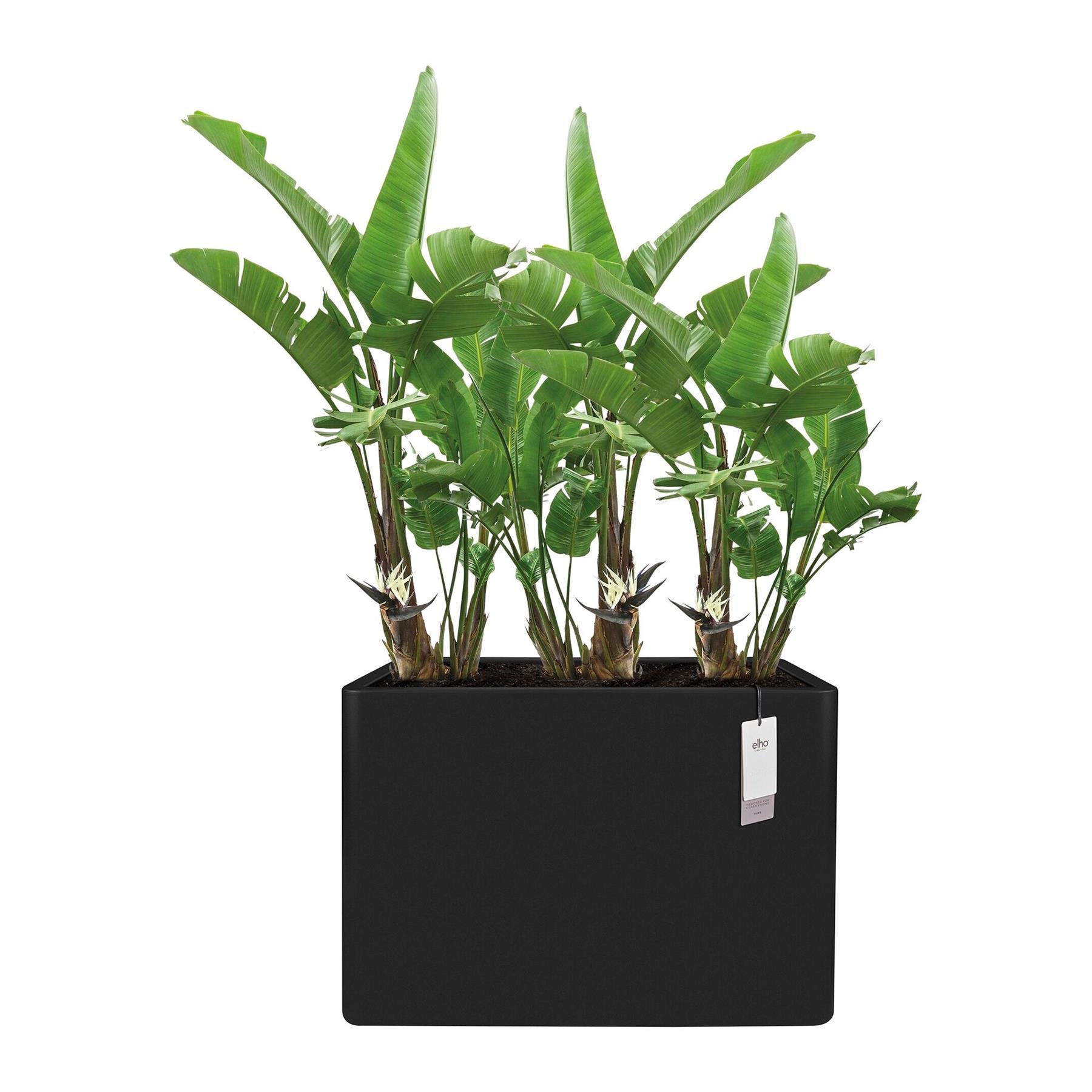 Elho June Brick Divider 80 - Zwart - L 79 x B  x H 59 cm - Binnen en Buiten - 100% gerecycled