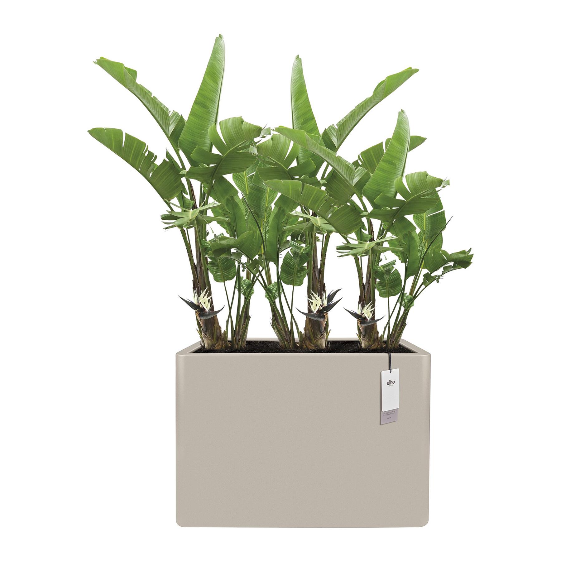 Elho June Brick Divider 80 - Balanced beige - L 79 x B  x H 59 cm - Binnen en Buiten - 100% gerecycled