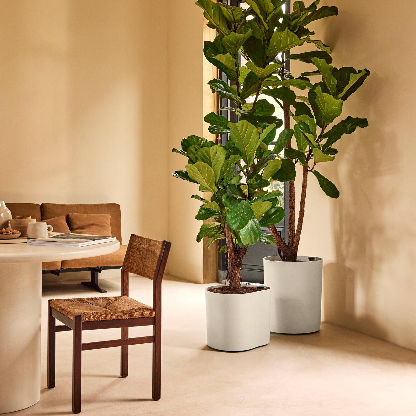 Elho Eden Aquacare Low 40 - Linnen wit - L 44 x B  x H 35 cm - Binnen en Buiten - 100% gerecycled