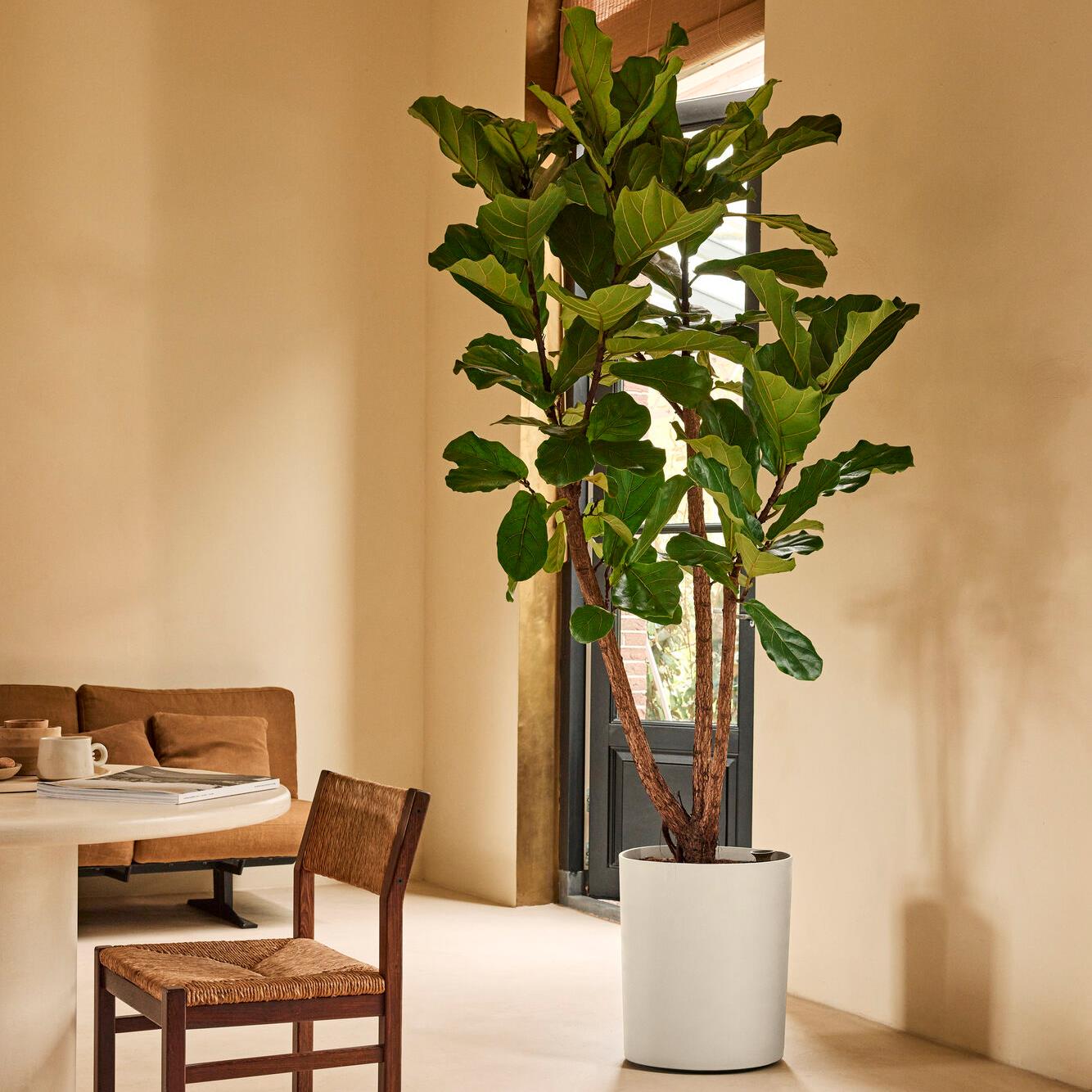 Elho Eden Aquacare High 40 - Linnen wit - L 43 x B  x H 50 cm - Binnen en Buiten - 100% gerecycled