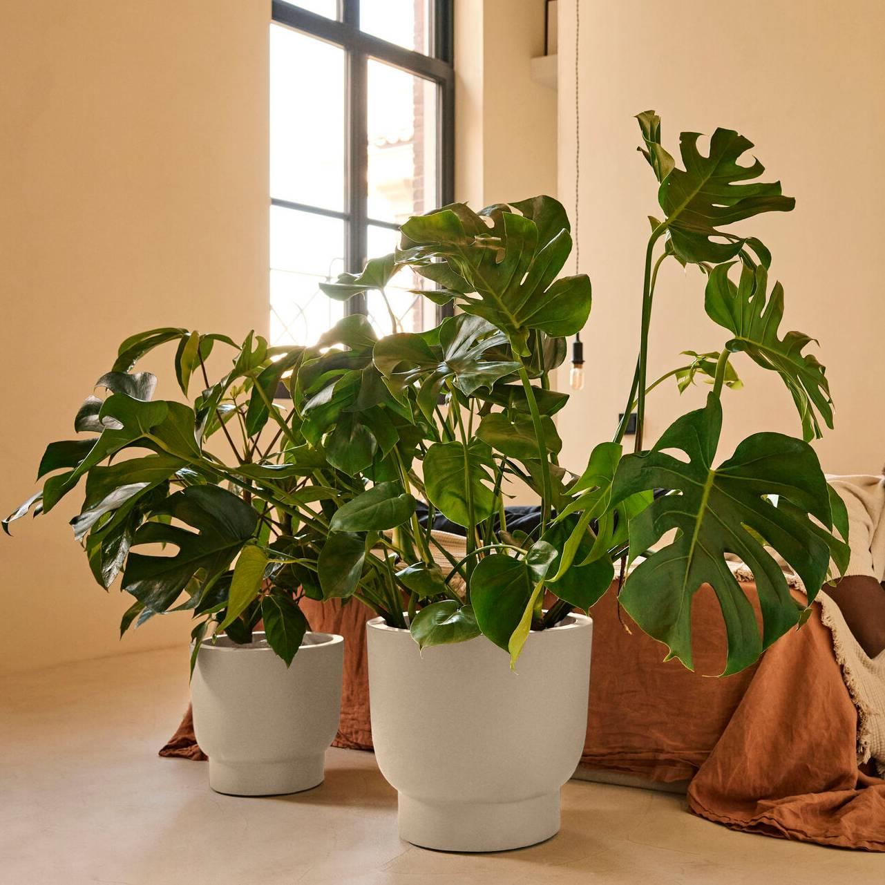 Elho Amber Grail 30 - Linnen wit - L 30 x B  x H 28 cm - Binnen en Buiten - 100% gerecycled