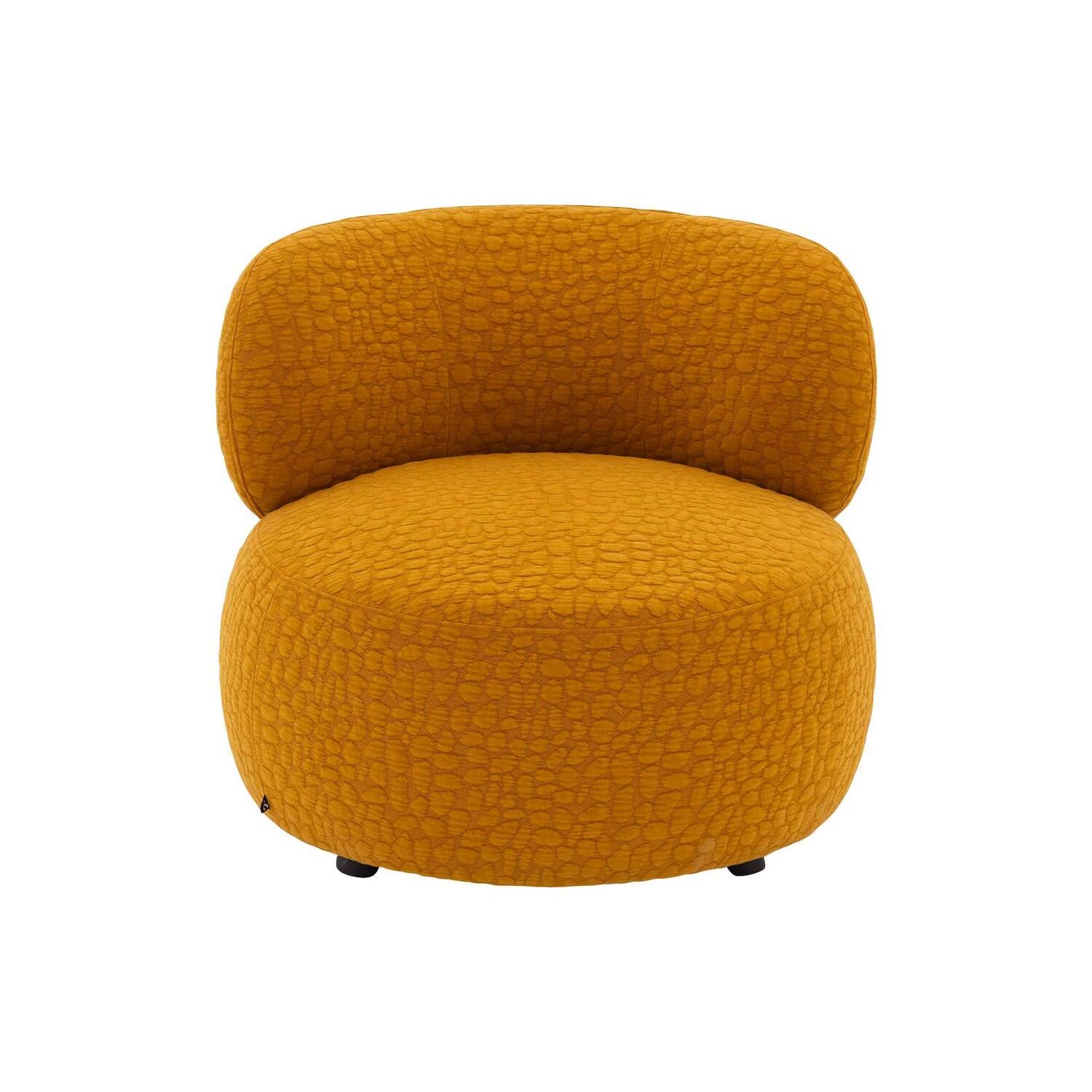 Goossens Fauteuil Leo