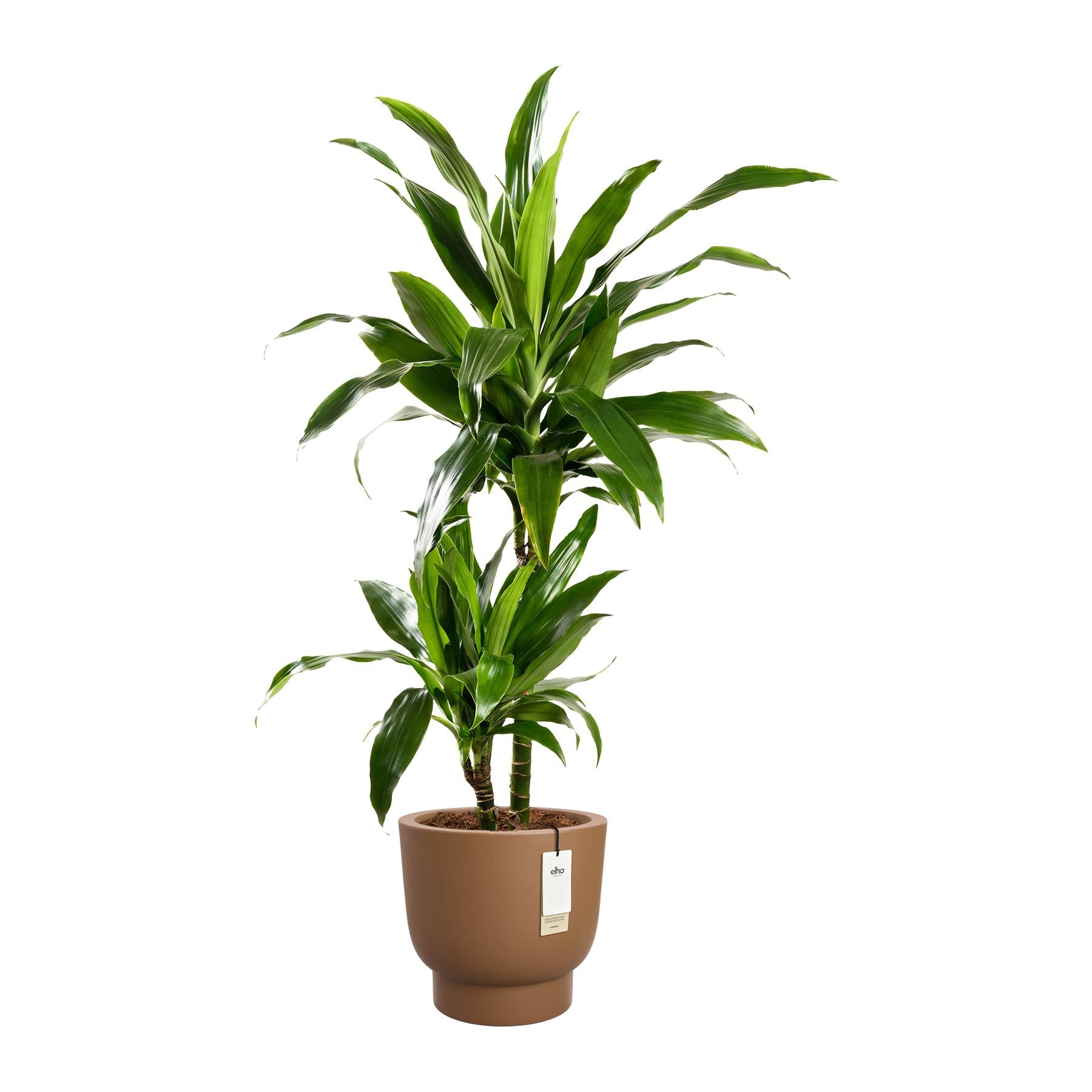 Elho Amber Grail 30 - Karamel - L 30 x B  x H 28 cm - Binnen en Buiten - 100% gerecycled