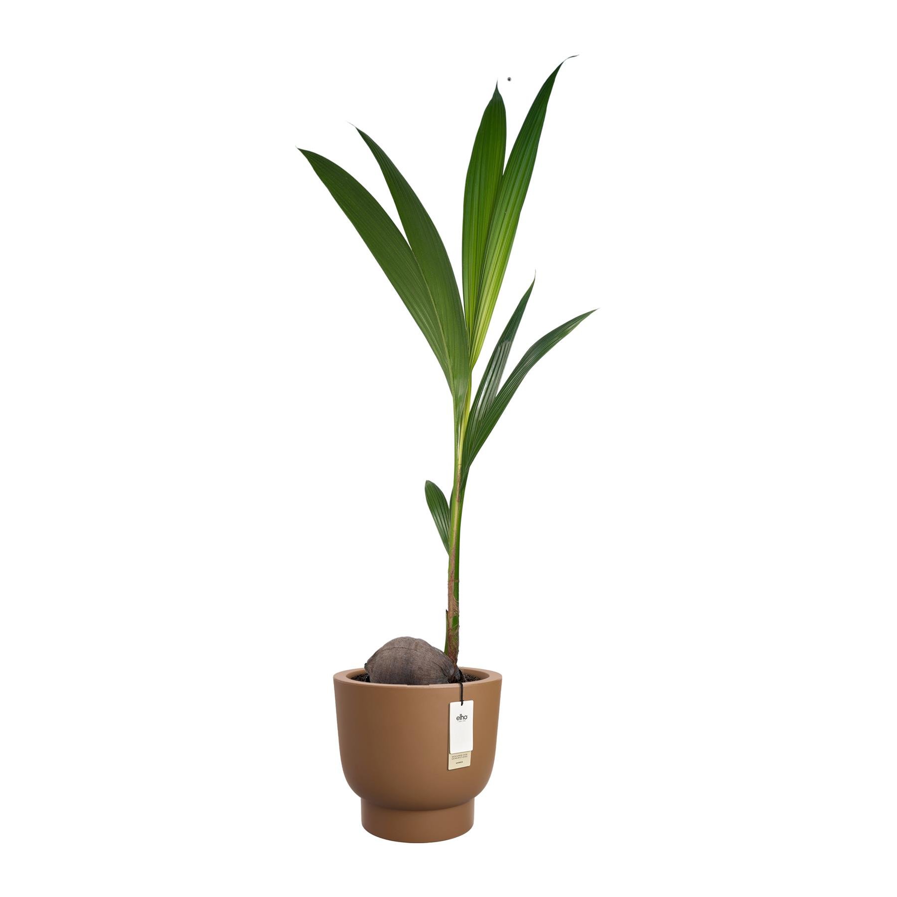 Elho Amber Grail 30 - Karamel - L 30 x B  x H 28 cm - Binnen en Buiten - 100% gerecycled