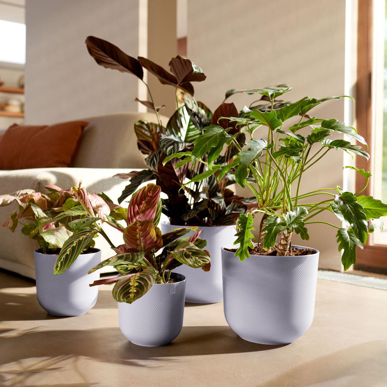 Elho Jazz Rond 30 - Paars - L 30 x B  x H 27 cm - Binnen - 100% gerecycled