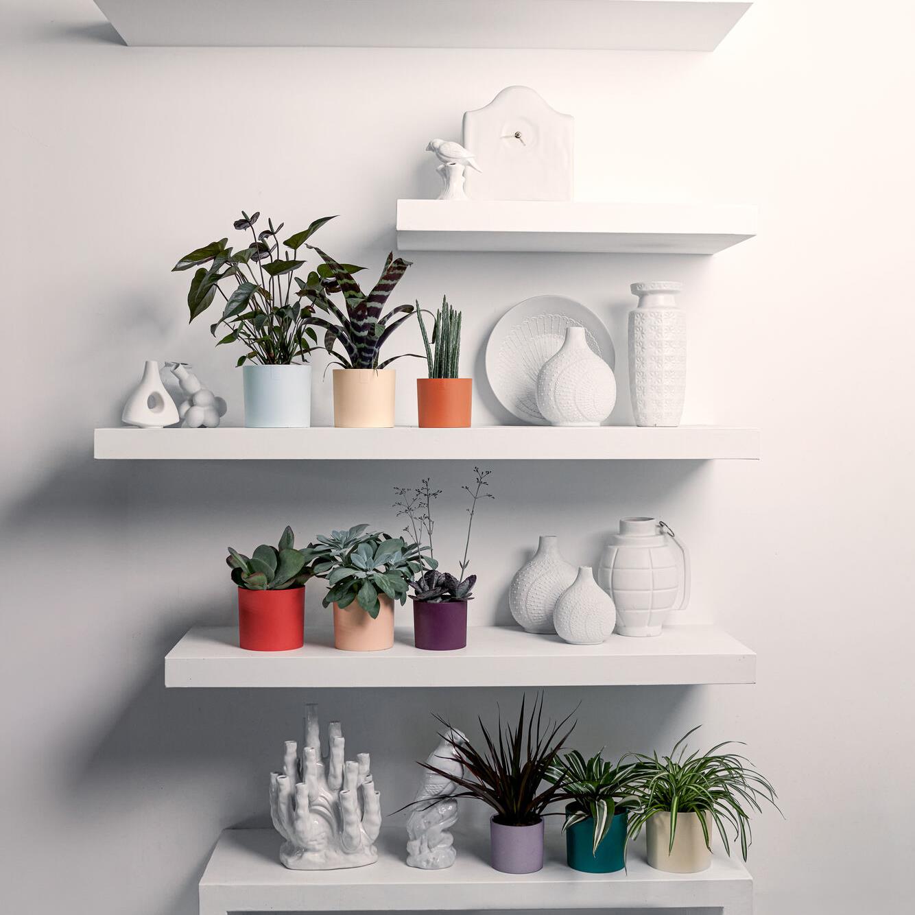 Elho Lex Pott Set 14 - Wit/Groen/Paars - L 14 x B  x H 12 cm - Binnen - 100% gerecycled