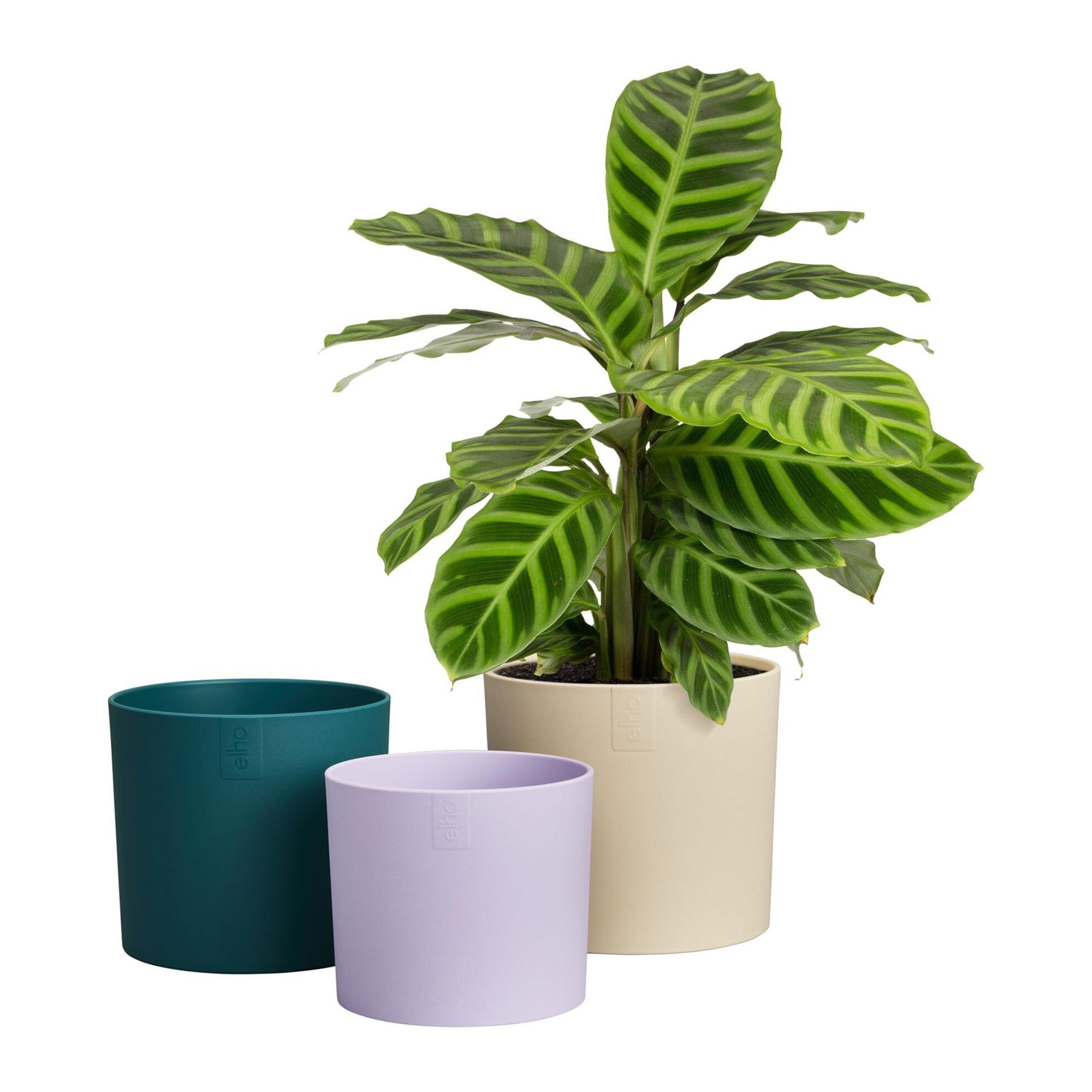Elho Lex Pott Set 14 - Wit/Groen/Paars - L 14 x B  x H 12 cm - Binnen - 100% gerecycled