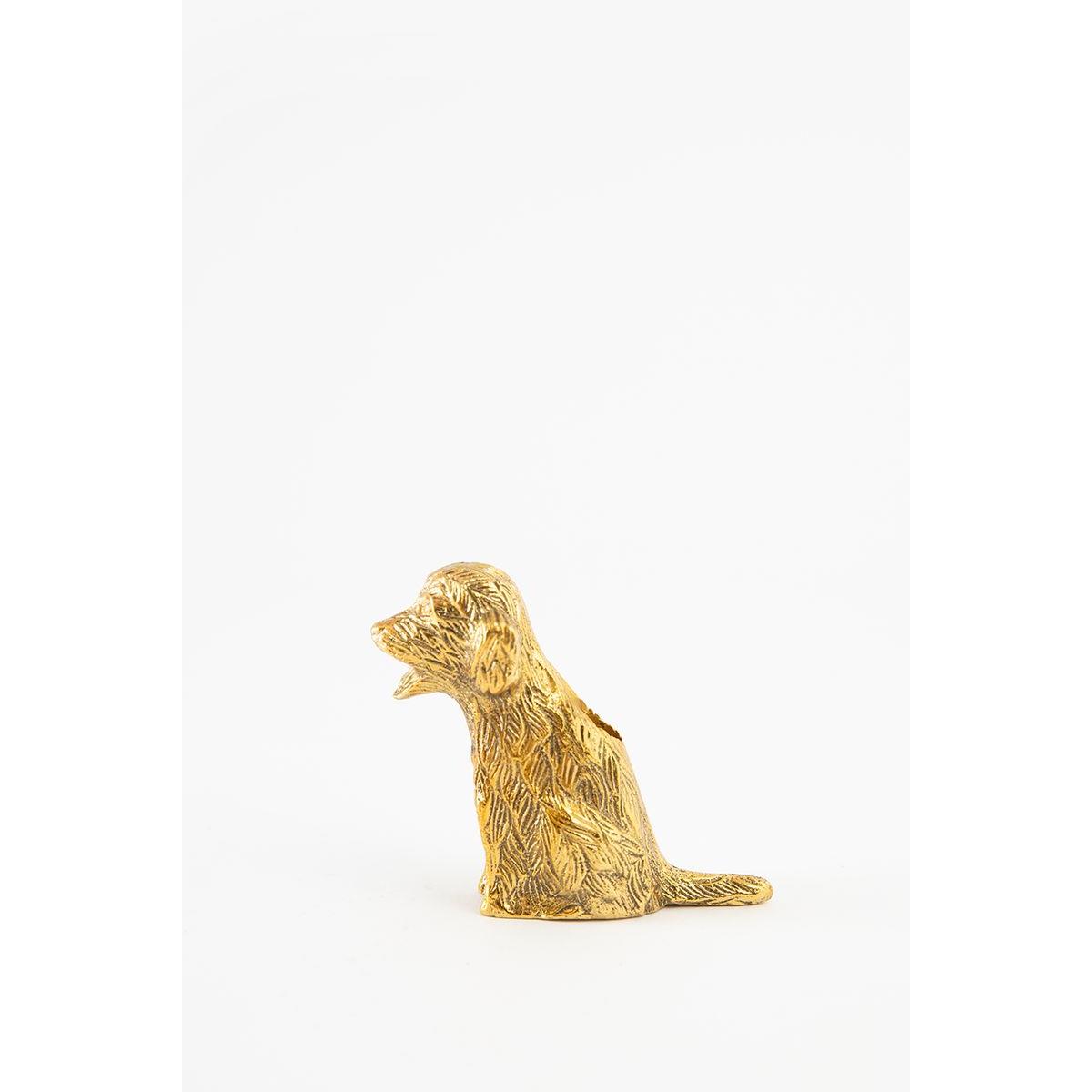 Sissy-Boy Goudkleurige kandelaar labradoodle