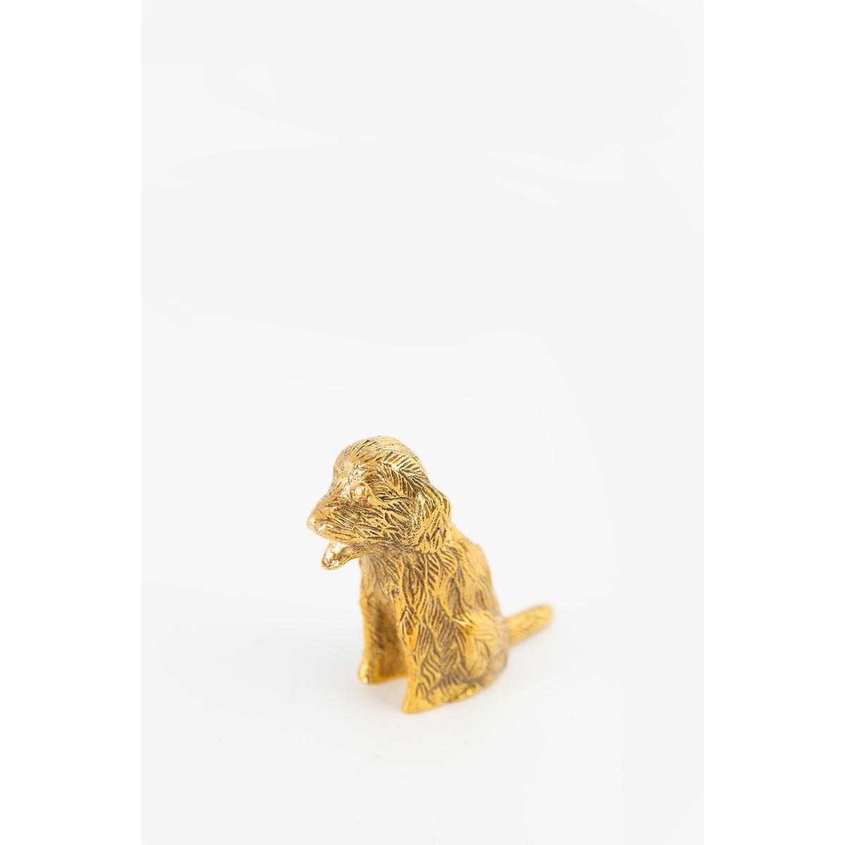 Sissy-Boy Goudkleurige kandelaar labradoodle