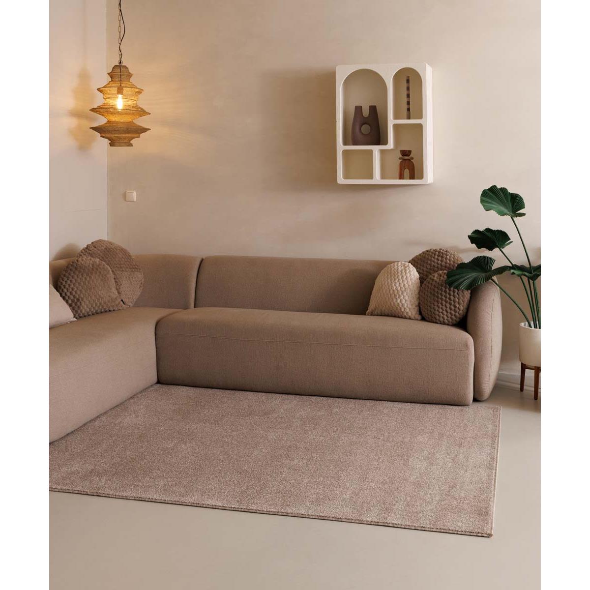 Tapeso Laagpolig vloerkleed Fine - beige - 240x340 cm