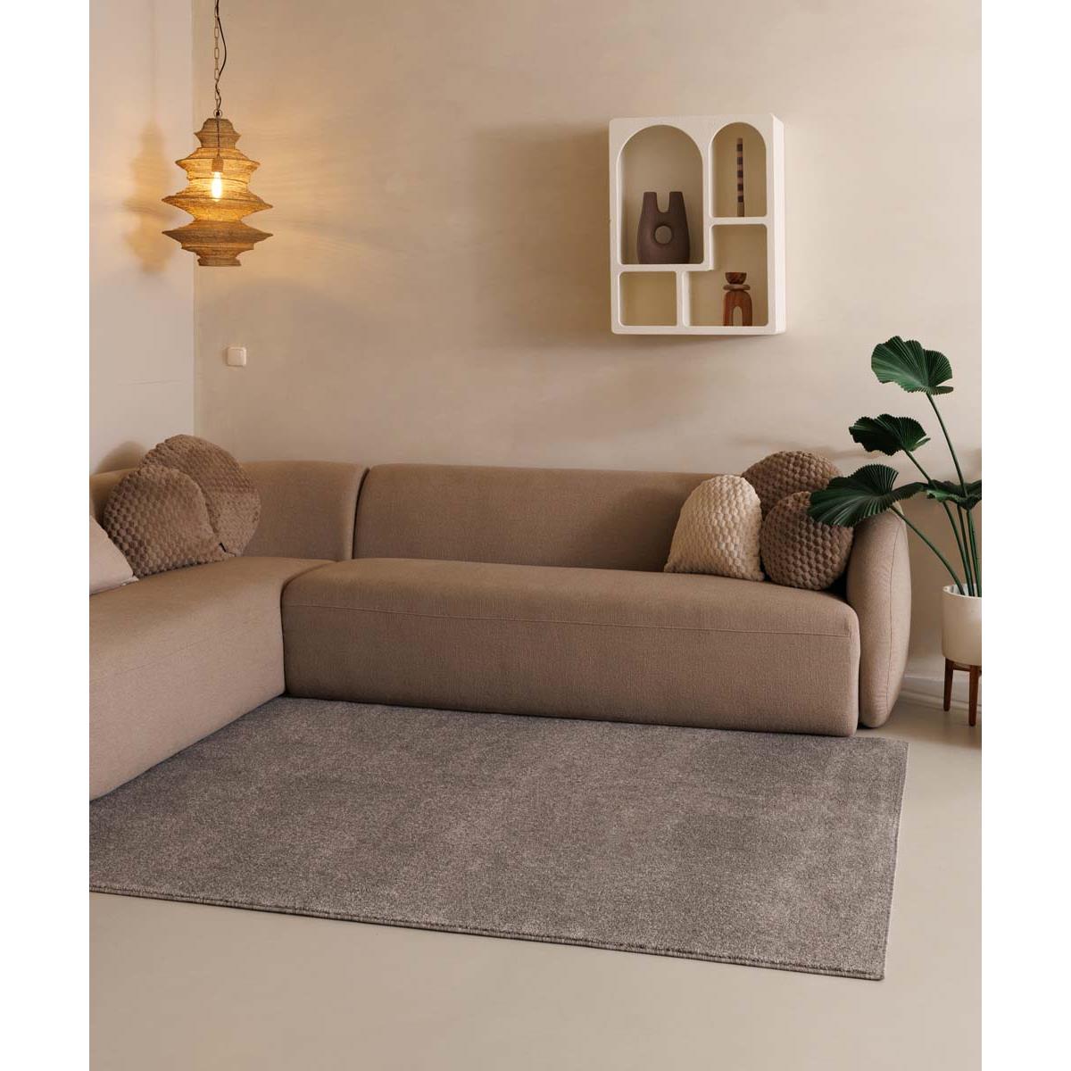 Tapeso Laagpolig vloerkleed Fine - lichtgrijs - 100x300 cm