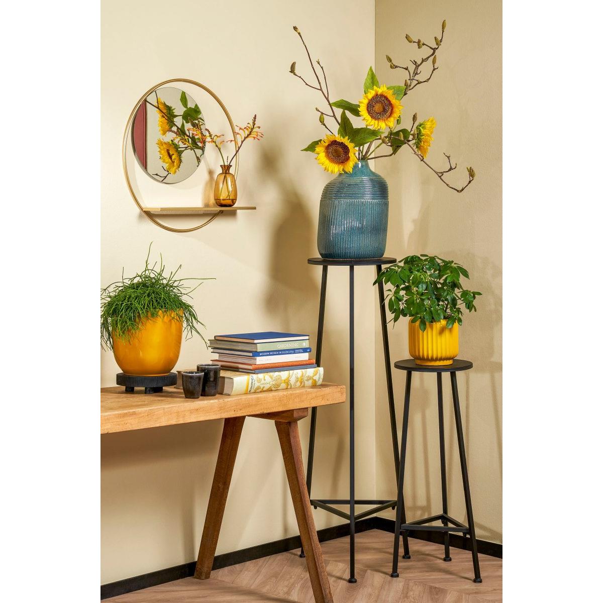 Mica Decorations Plantentafel - H80 x Ø30 cm - Metaal - Zwart