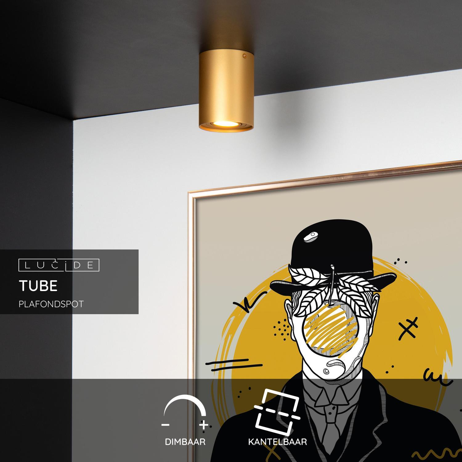 Lucide TUBE Plafondspot - Mat Goud | Messing