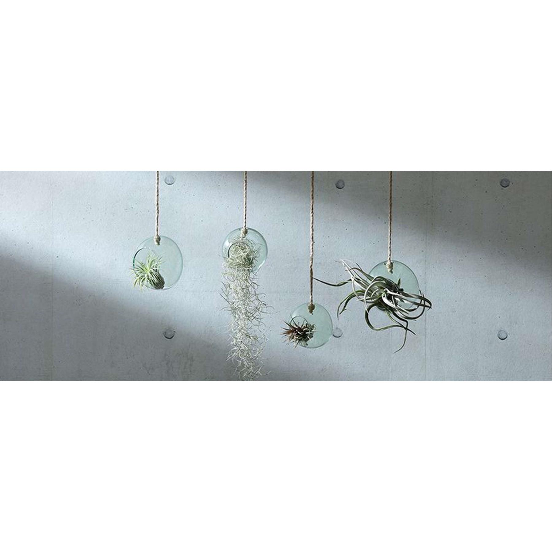 L.S.A. Canopy Plantenhanger ø 10 cm
