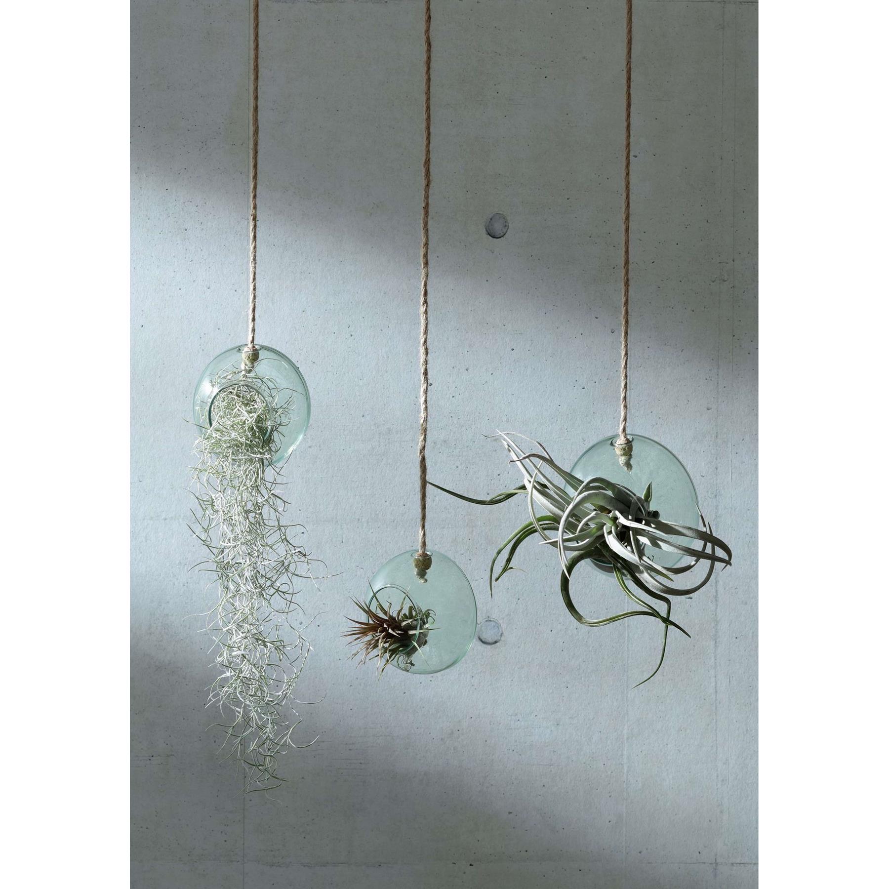 L.S.A. Canopy Plantenhanger ø 10 cm