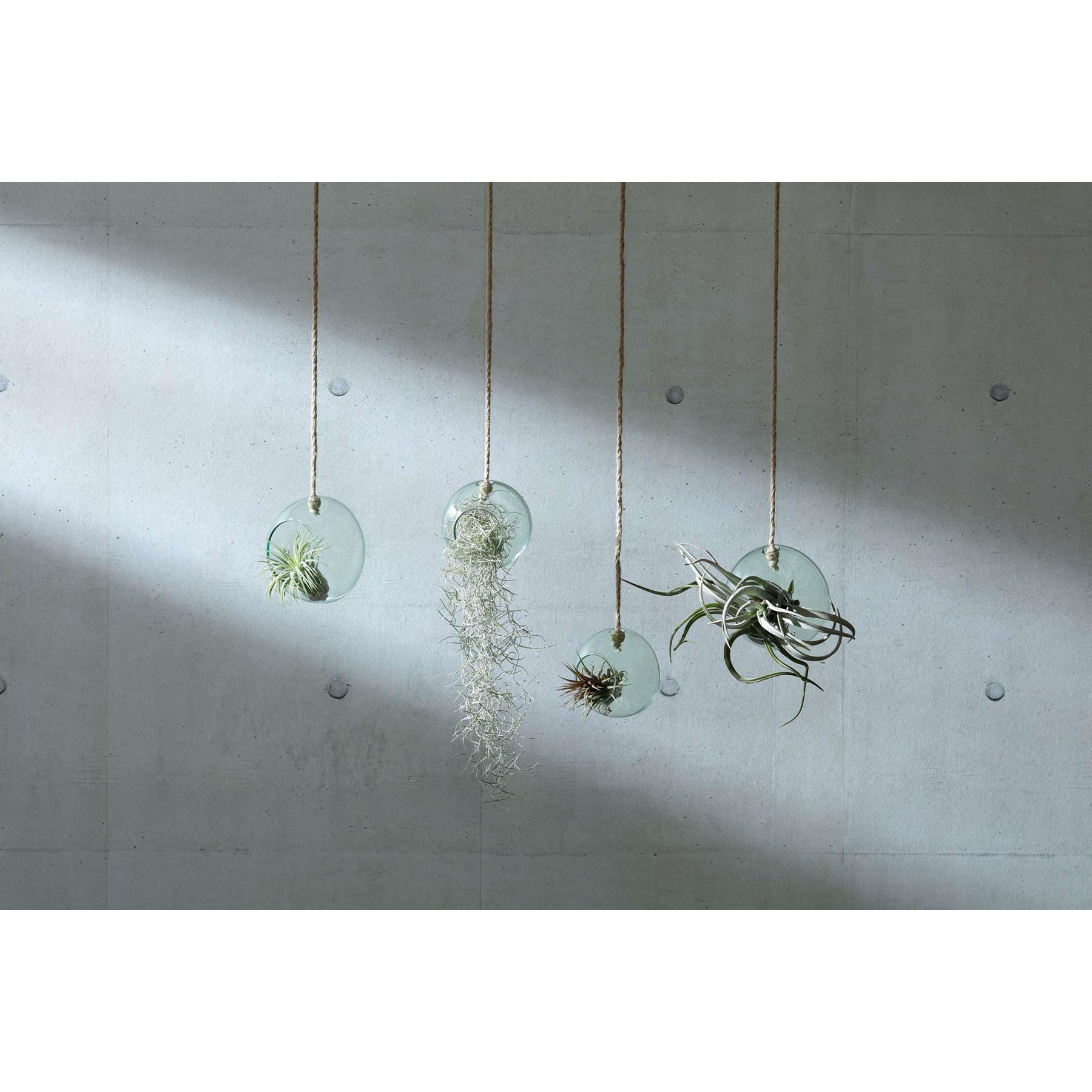 L.S.A. Canopy Plantenhanger ø 10 cm