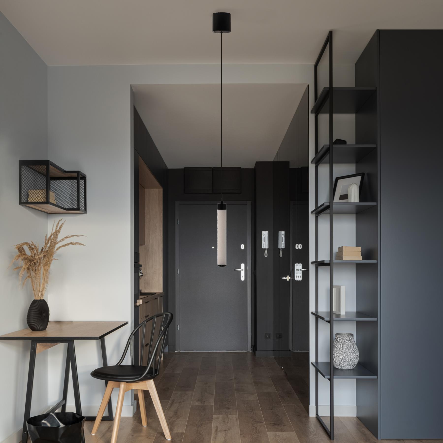 Maytoni Technical - Hanglamp Ray - Zwart - Ø3