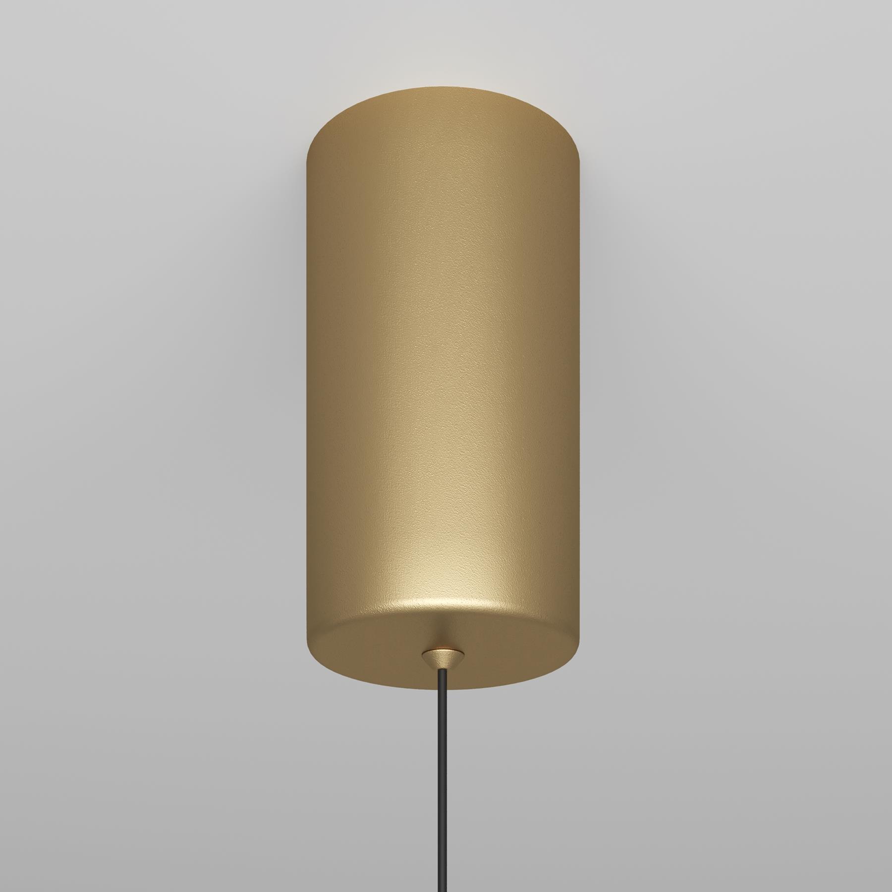 Maytoni Technical - Hanglamp Ray - Goud - Ø3