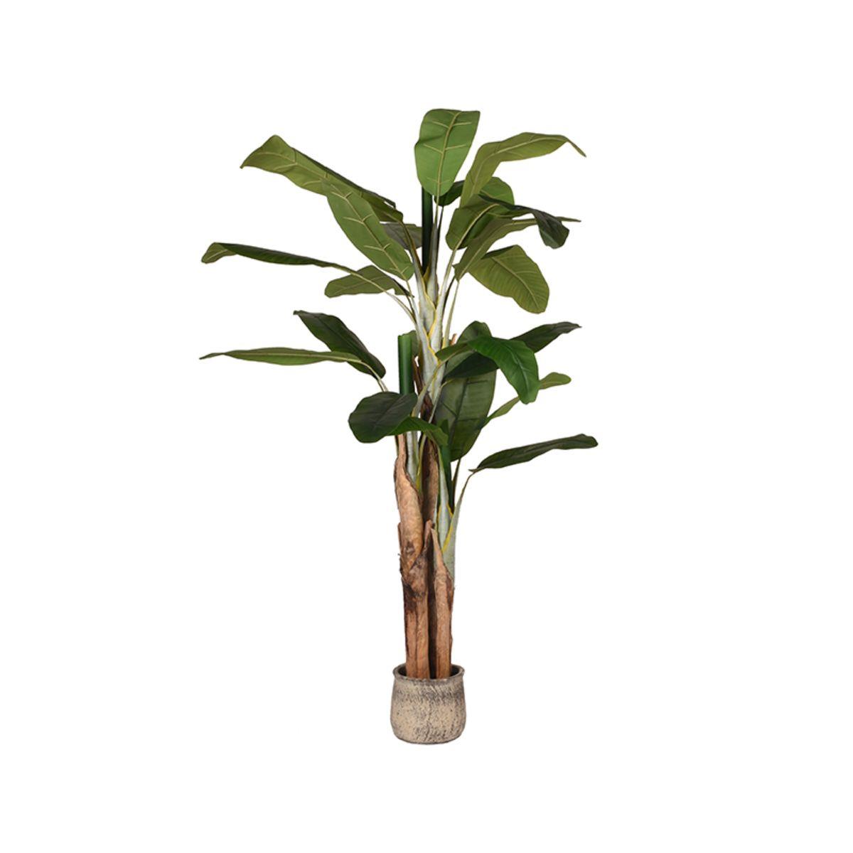 Kunstplant Musa Bananenplant - Groen - Kunststof - 110 x 110 x 180 cm