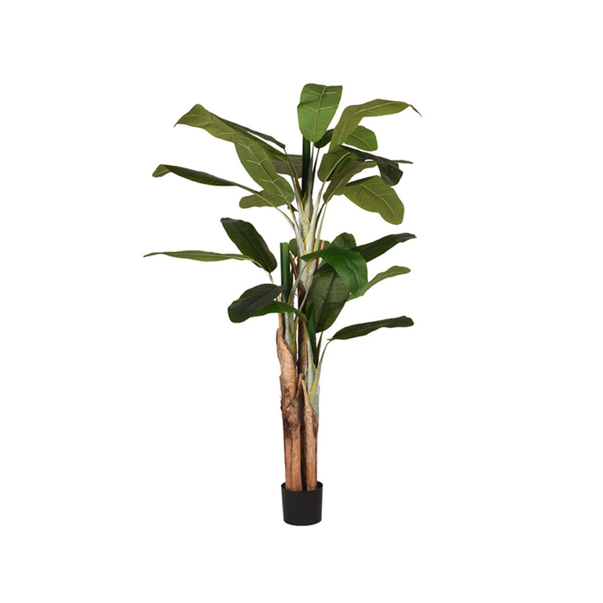 Kunstplant Musa Bananenplant - Groen - Kunststof - 110 x 110 x 180 cm