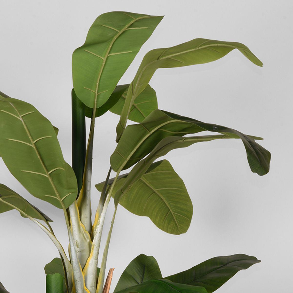 Kunstplant Musa Bananenplant - Groen - Kunststof - 110 x 110 x 180 cm
