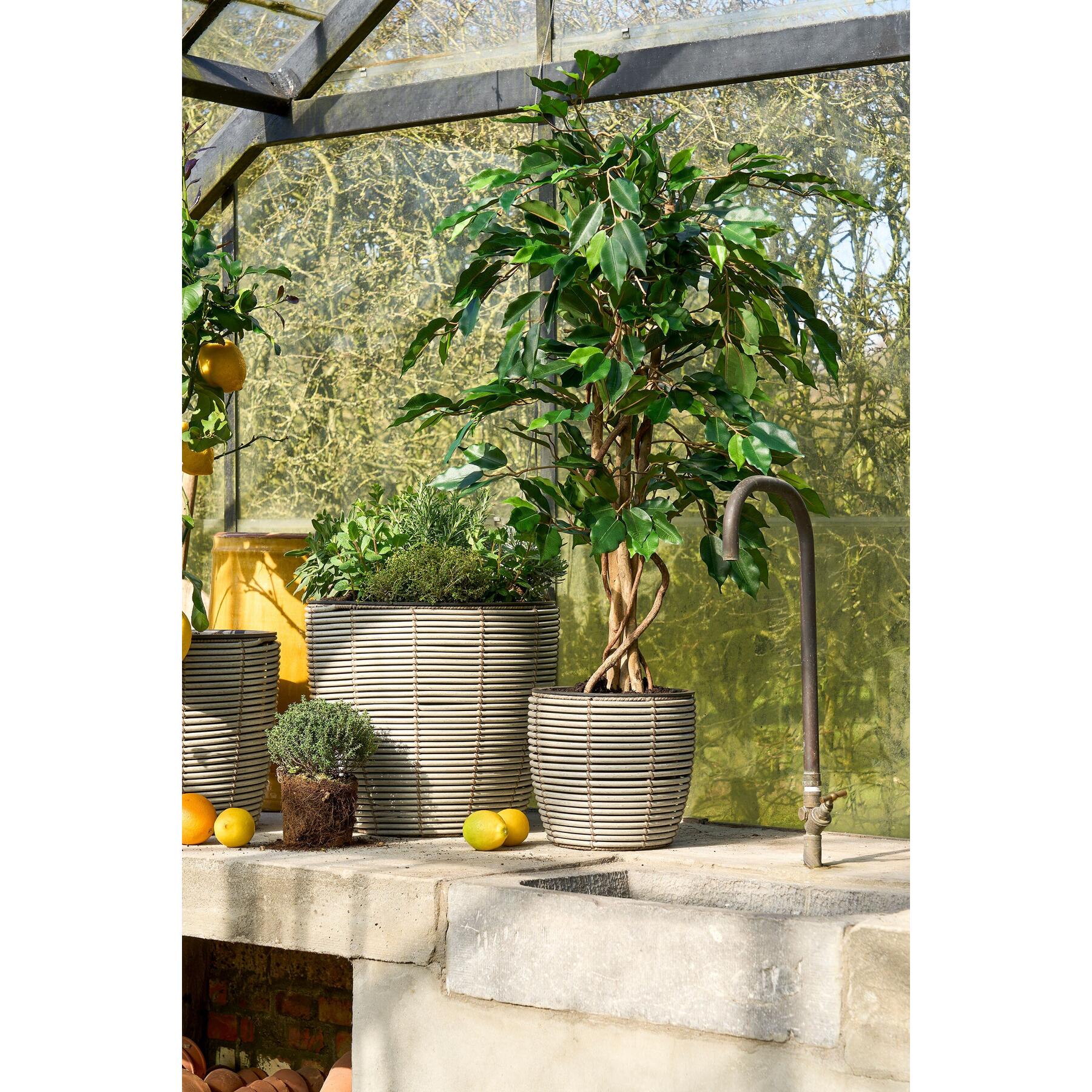 Mica Decorations Ficus Kunstplant - H105 x Ø60 cm - groen