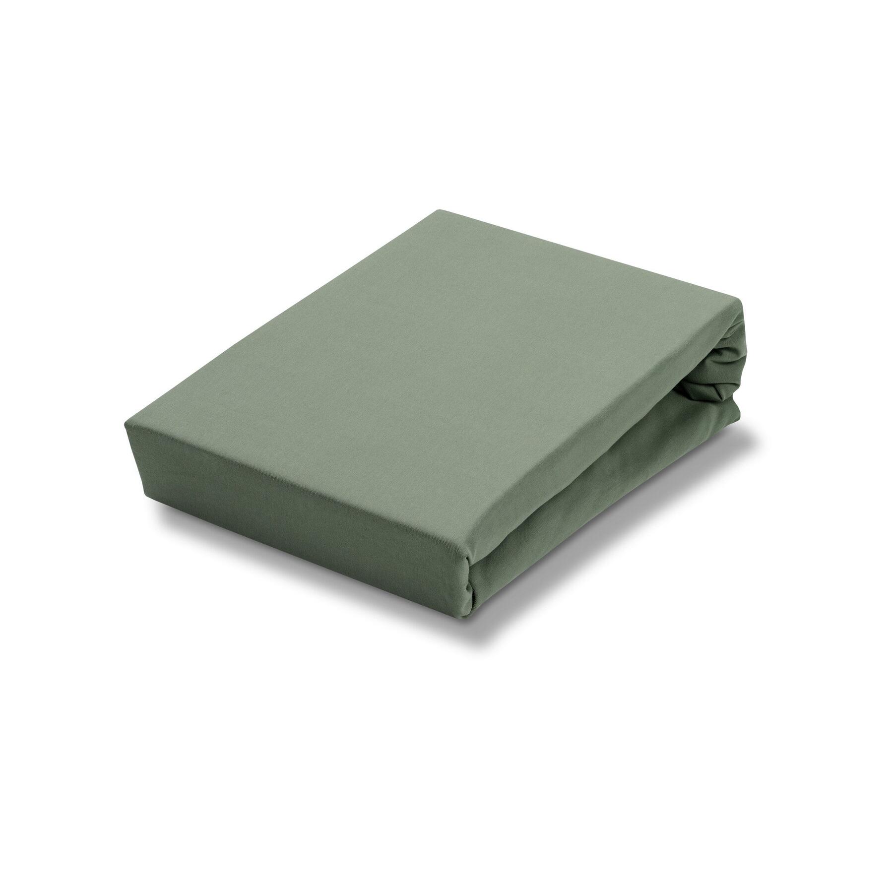 Jersey Supreme Hoeslaken Olive | 180  x 220 cm | Groen