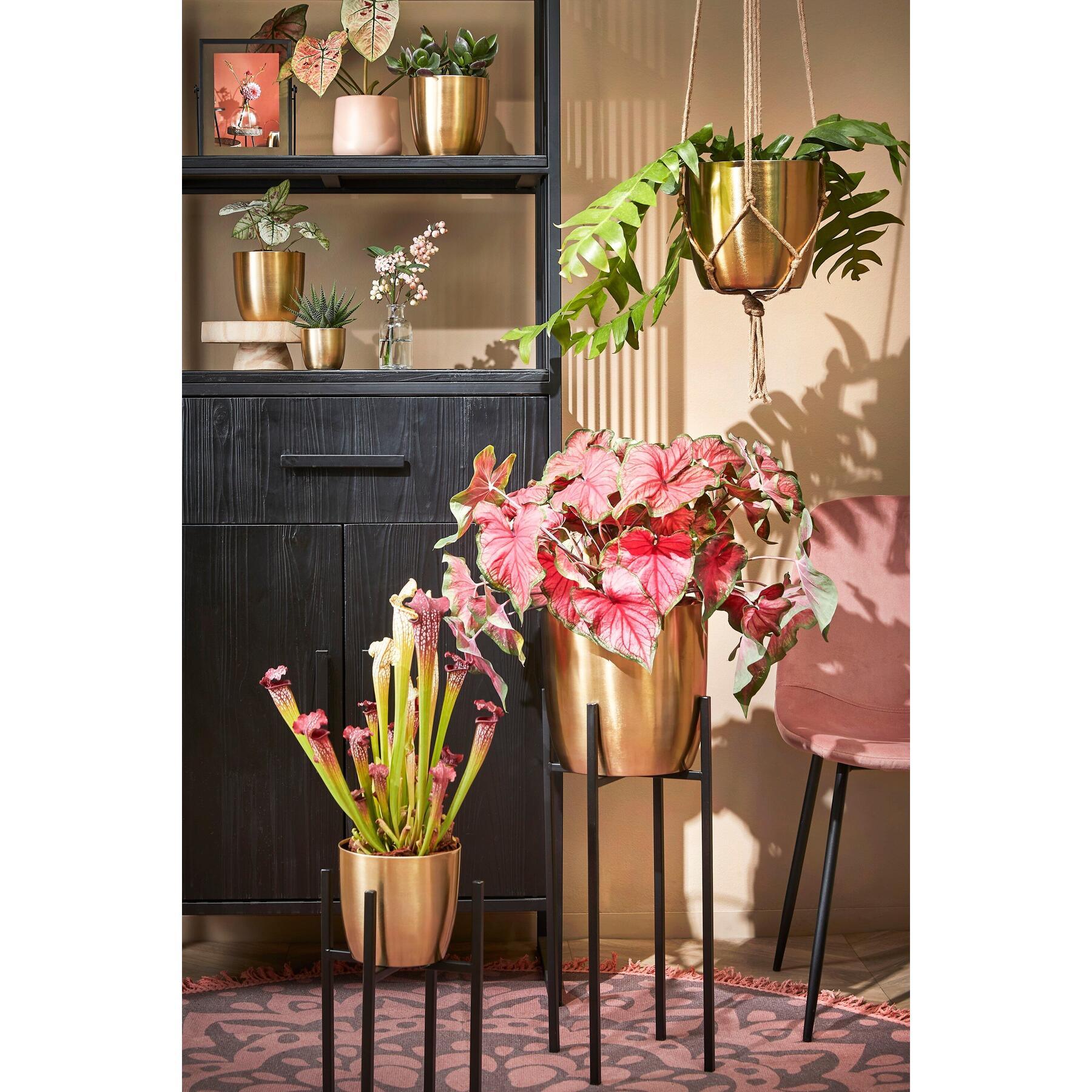 Mica Decorations Alano Bloempot - H27 x Ø28 cm - Metaal - Goud