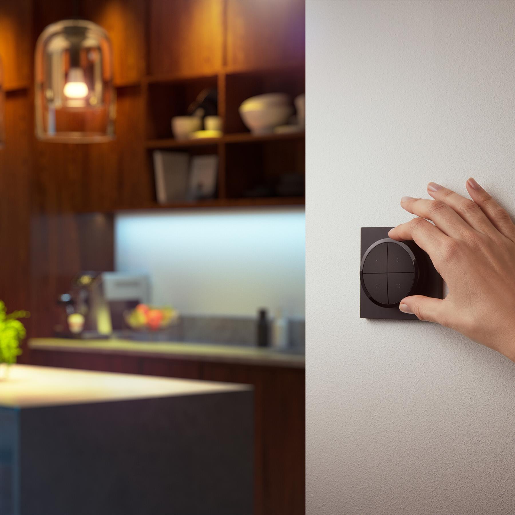 Philips Hue Tap dial switch Zwart