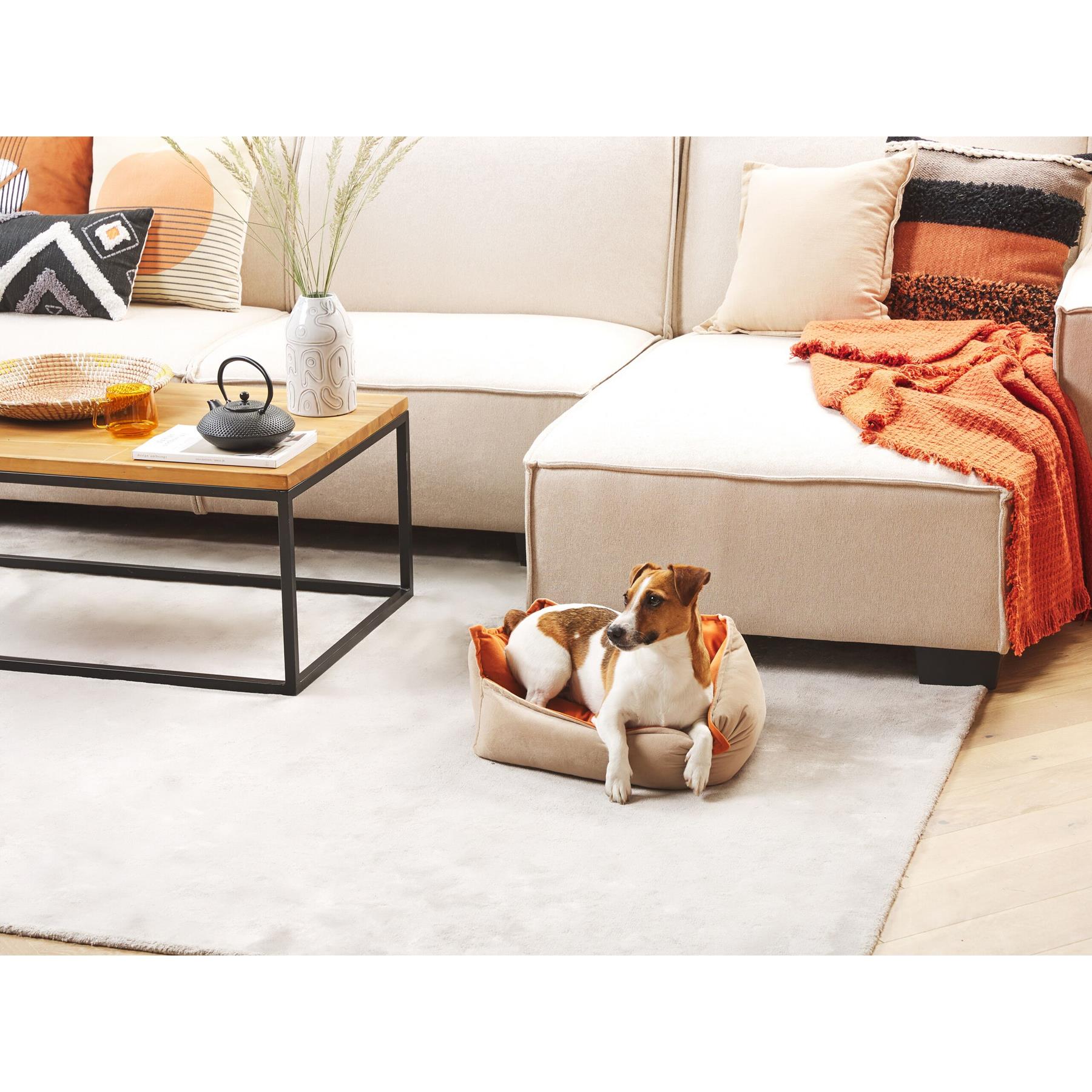 Beliani - IZMIR - Dierenbed - 50 cm - Beige - Fluweel