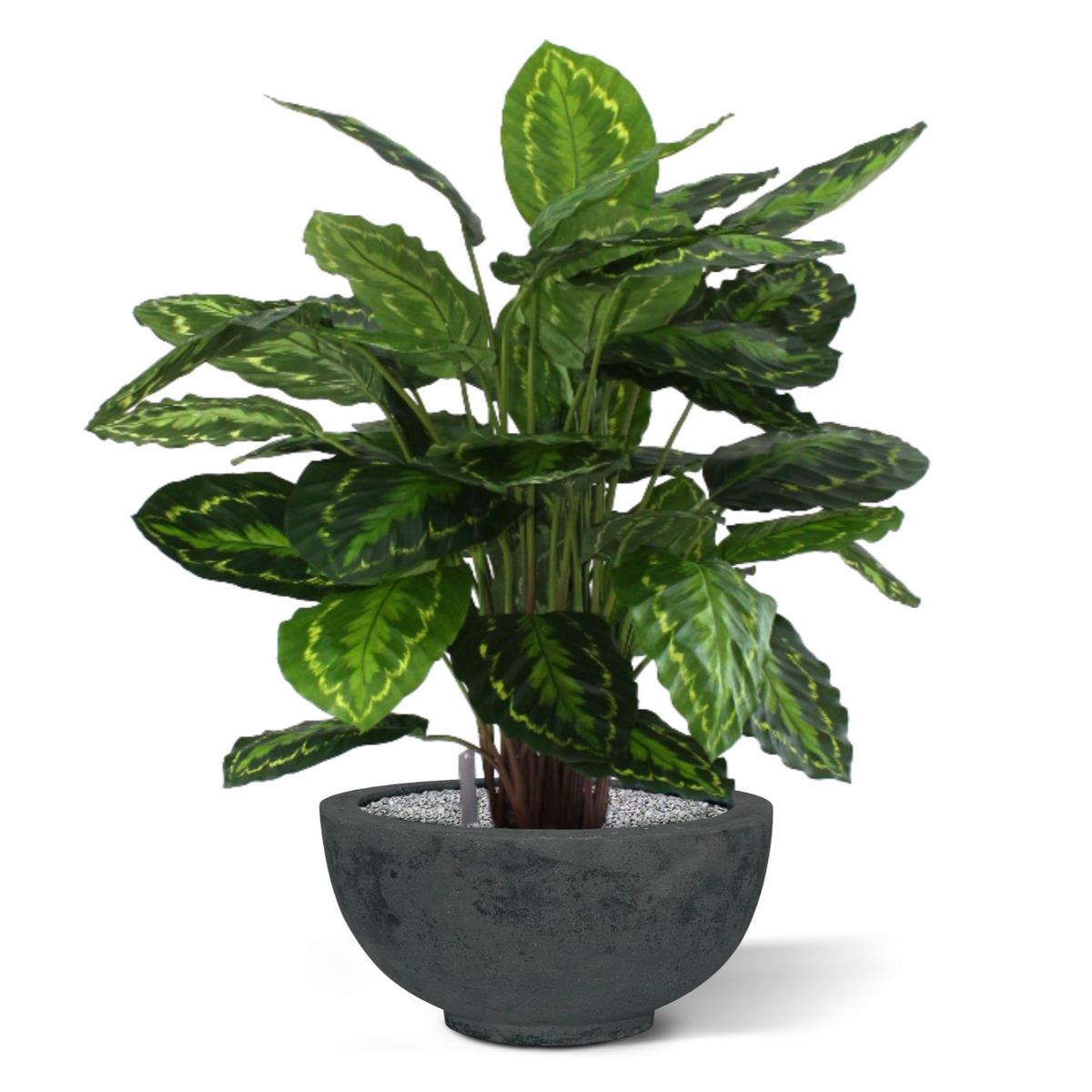 Calathea Rosea Picta kunstplant 80cm