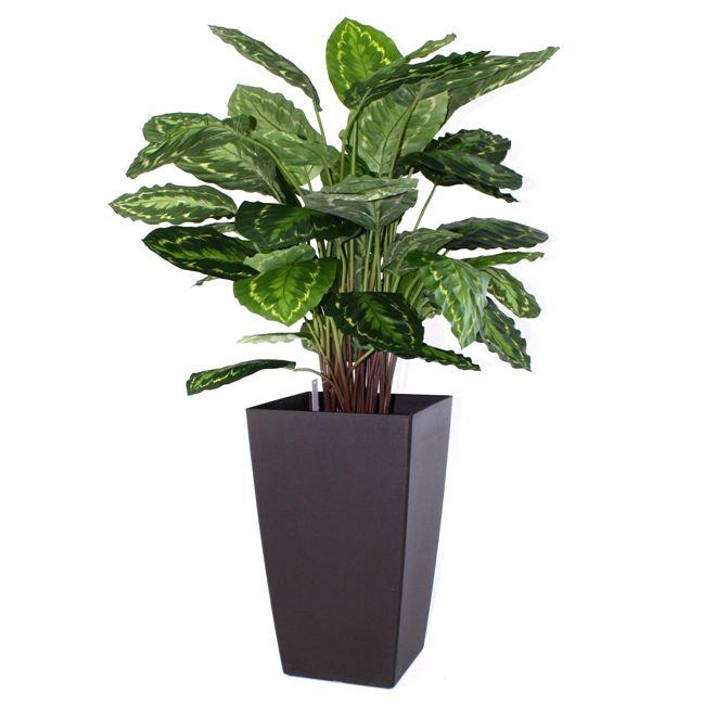 Calathea Rosea Picta kunstplant 80cm