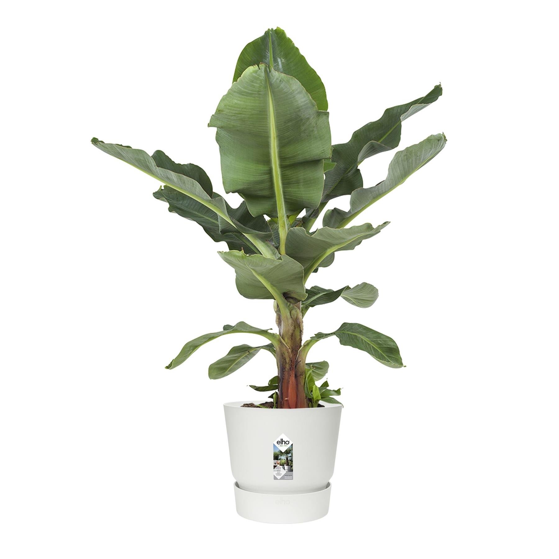 elho Greenville Bloempot 40 cm