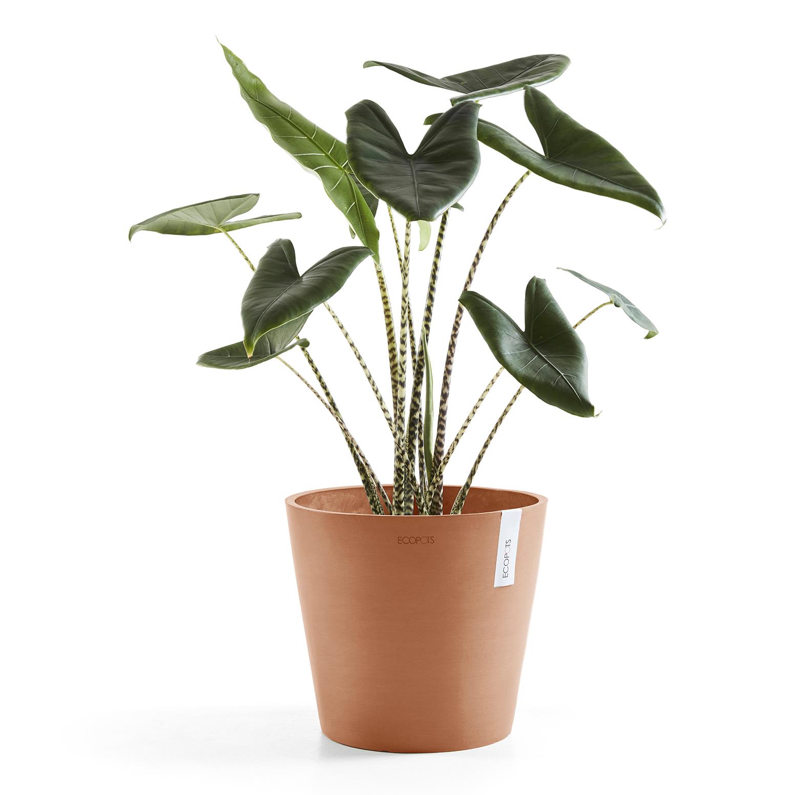 Ecopots Amsterdam 40