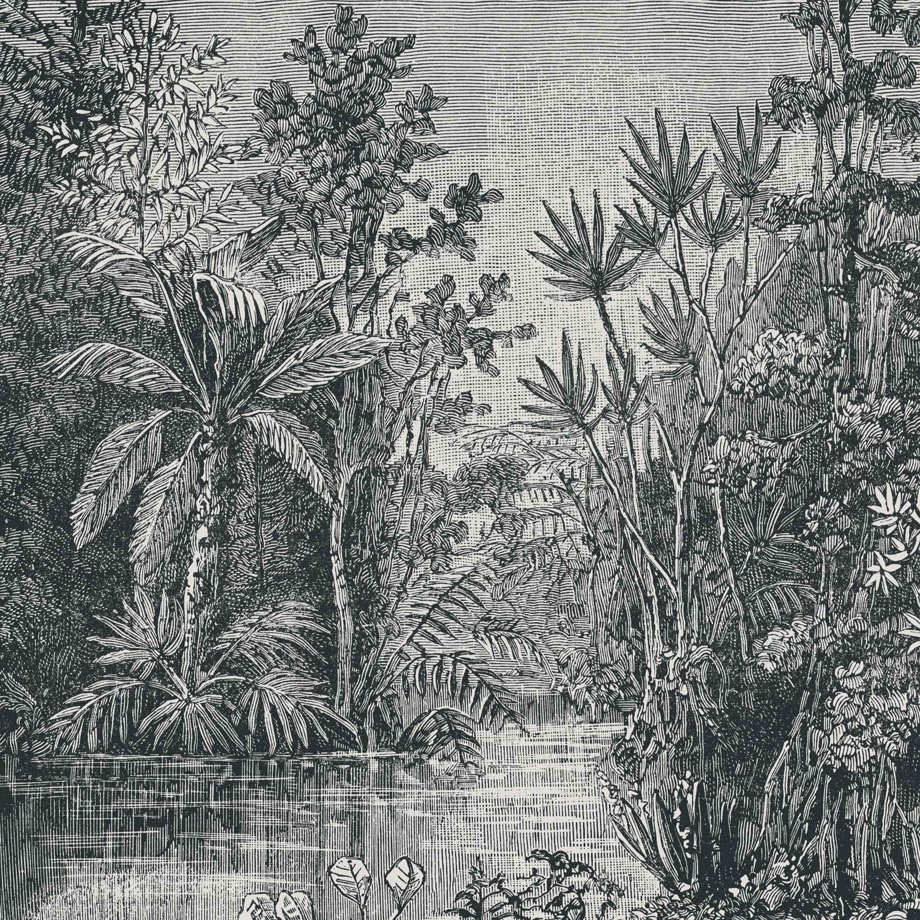 Art for the Home Jungle Fotobehang in Black 