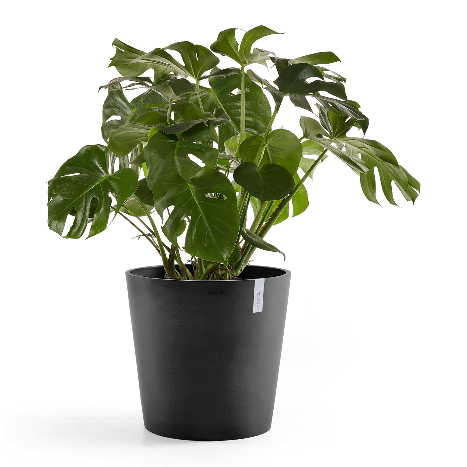 Ecopots Amsterdam 50