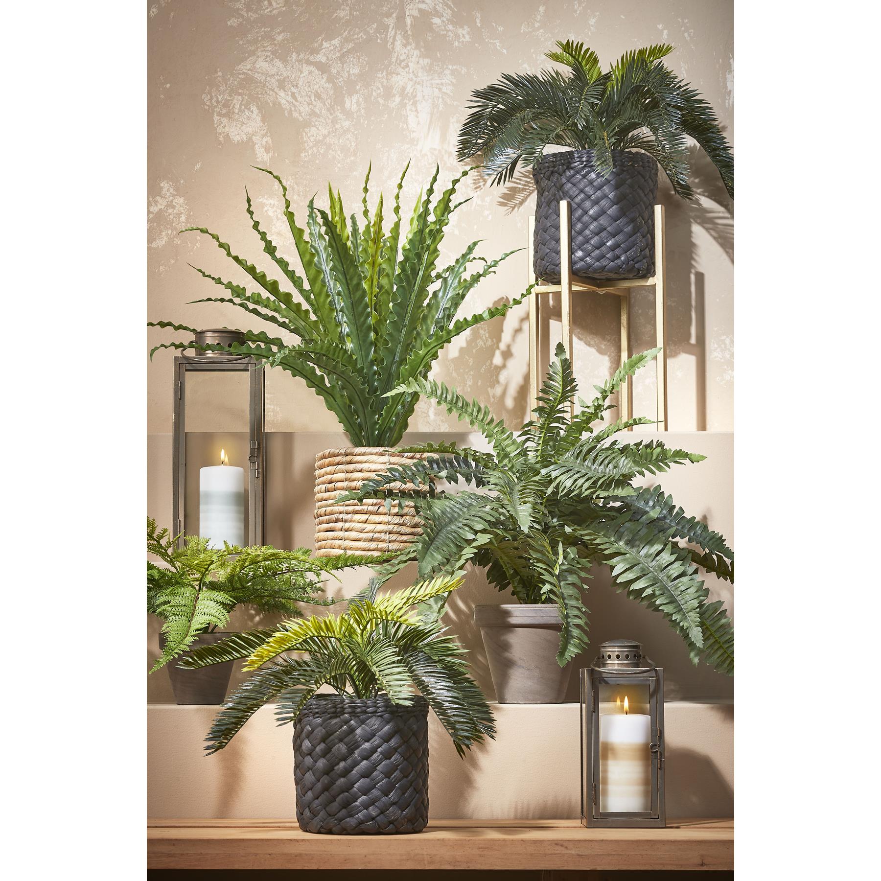 Mica Decorations Boston Varen Kunstplant - H42 x Ø50 cm - Groen