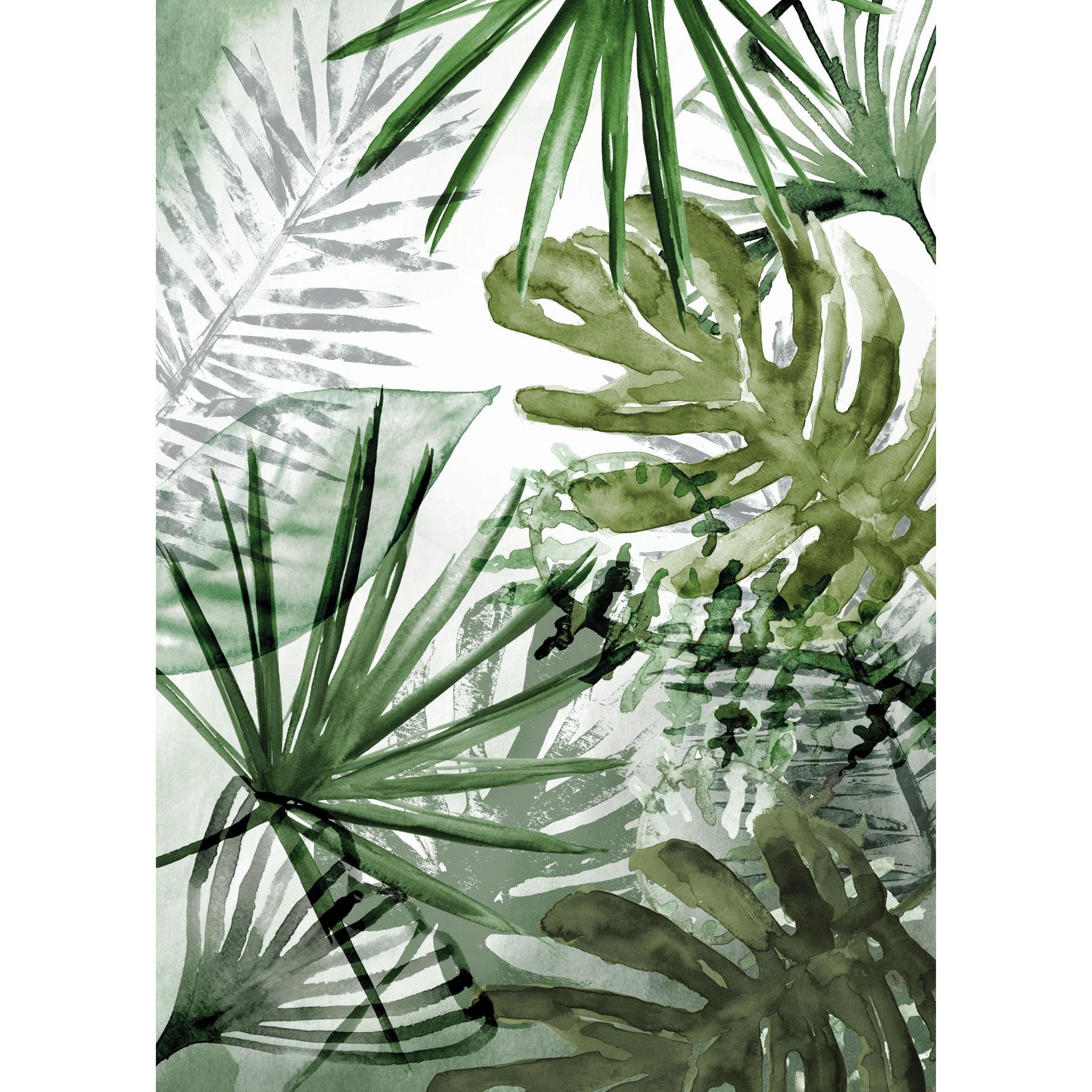 Art for the Home Monstera Planten Fotobehang 280x200 cm