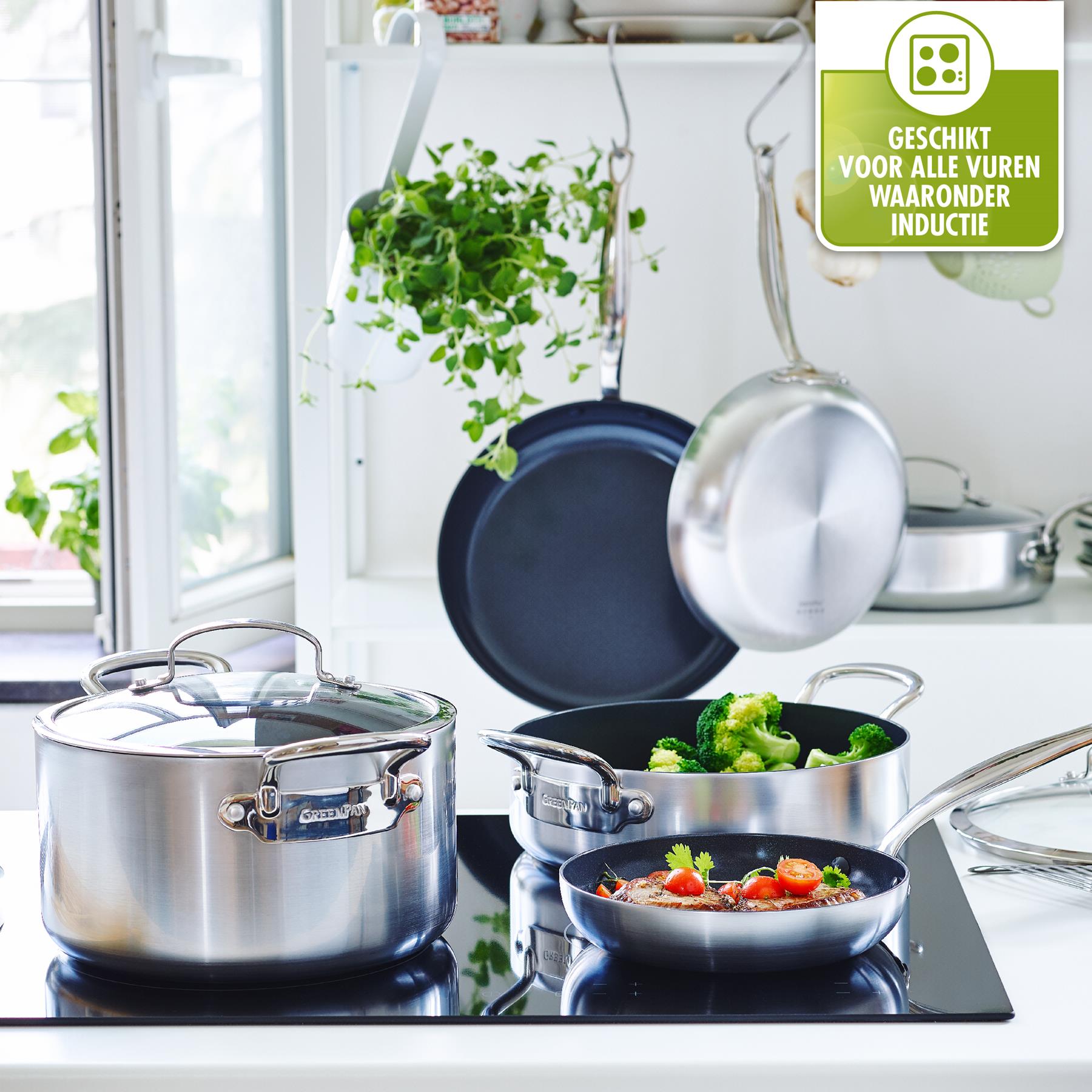 GreenPan Barcelona Evershine Hapjespan Ø 24 cm - Zilver