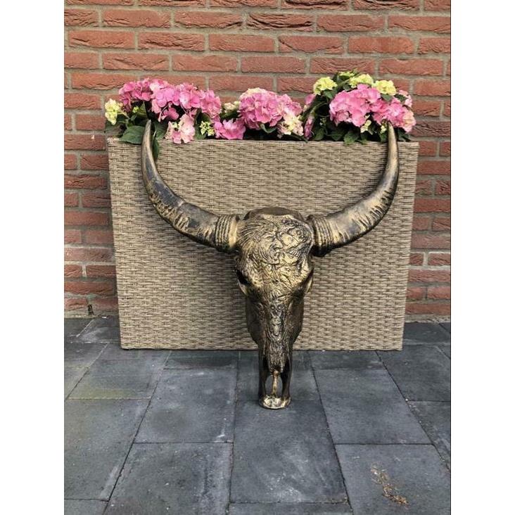 Skull Decoratie Skull Buffel Schedel - Buffelschedel - Brons - Goud
