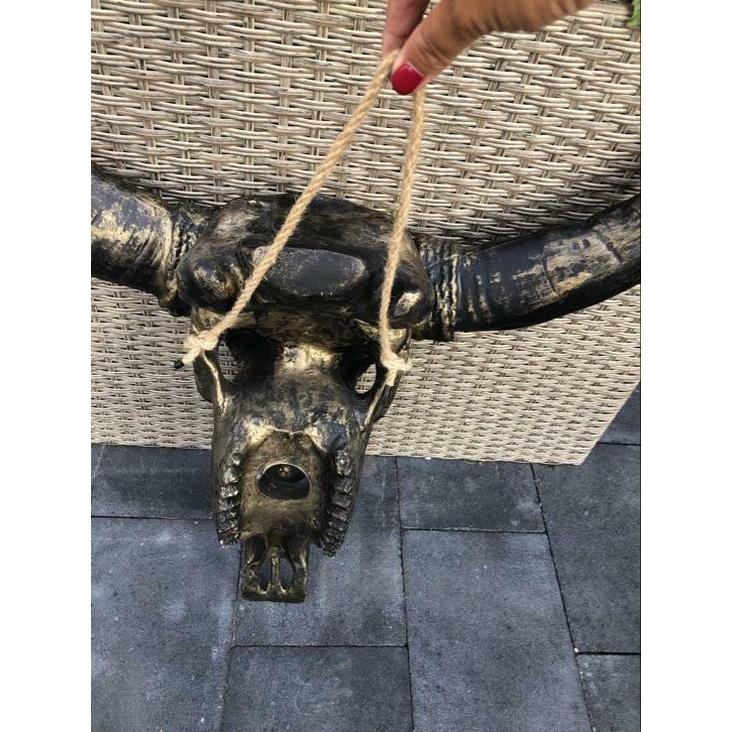 Skull Decoratie Skull Buffel Schedel - Buffelschedel - Brons - Goud