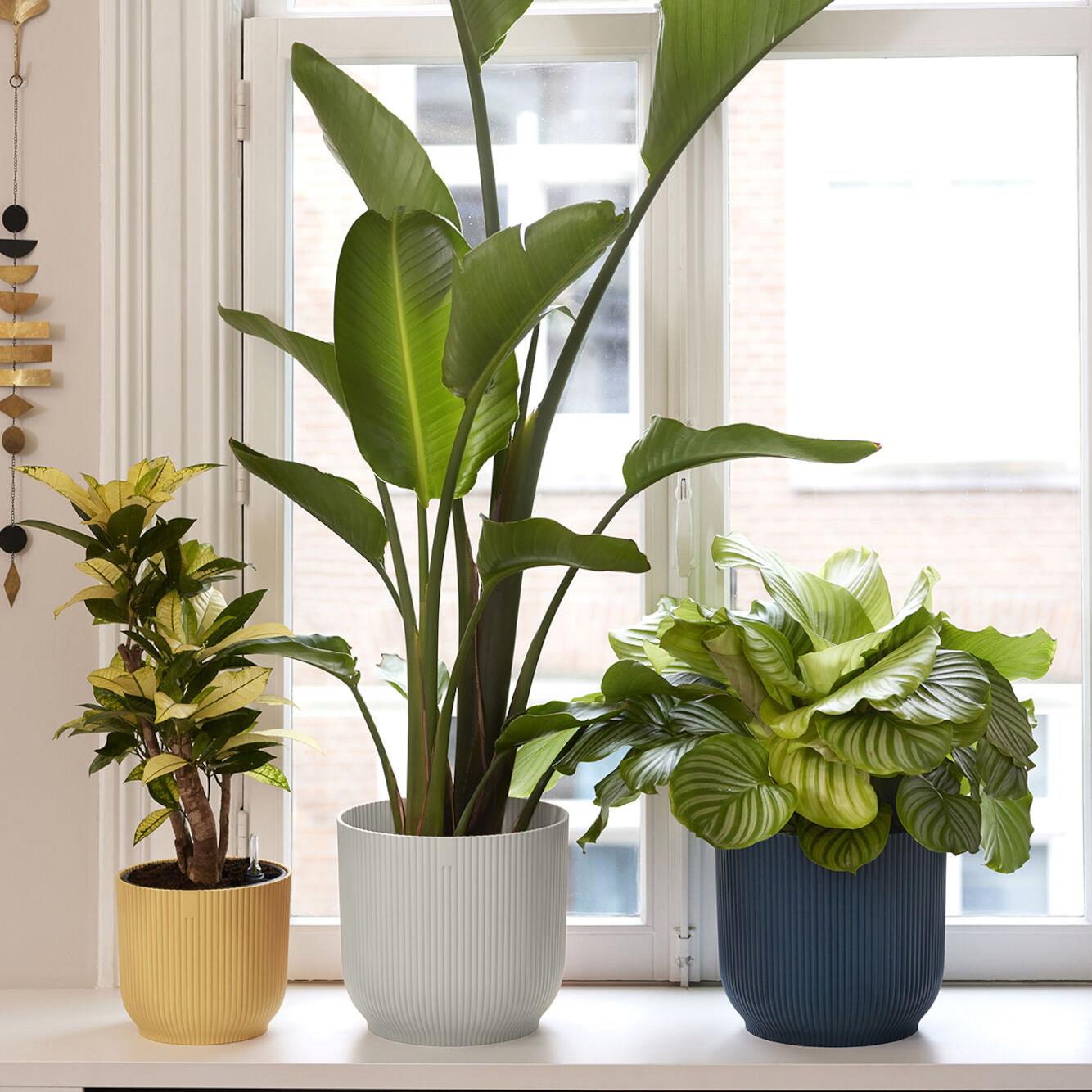 elho Vibes Fold Bloempot Ø 25 cm