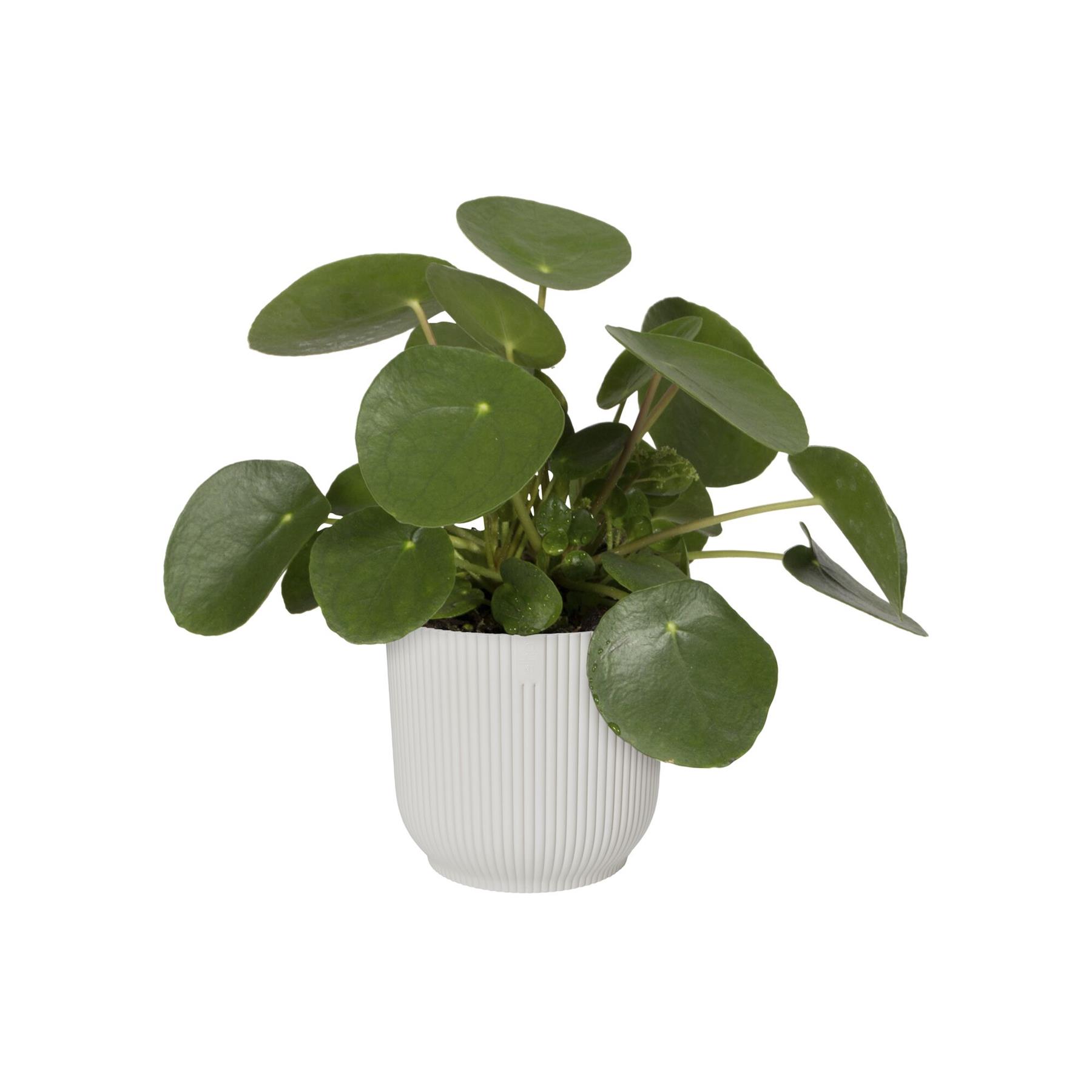 elho Vibes Fold Bloempot Ø 25 cm