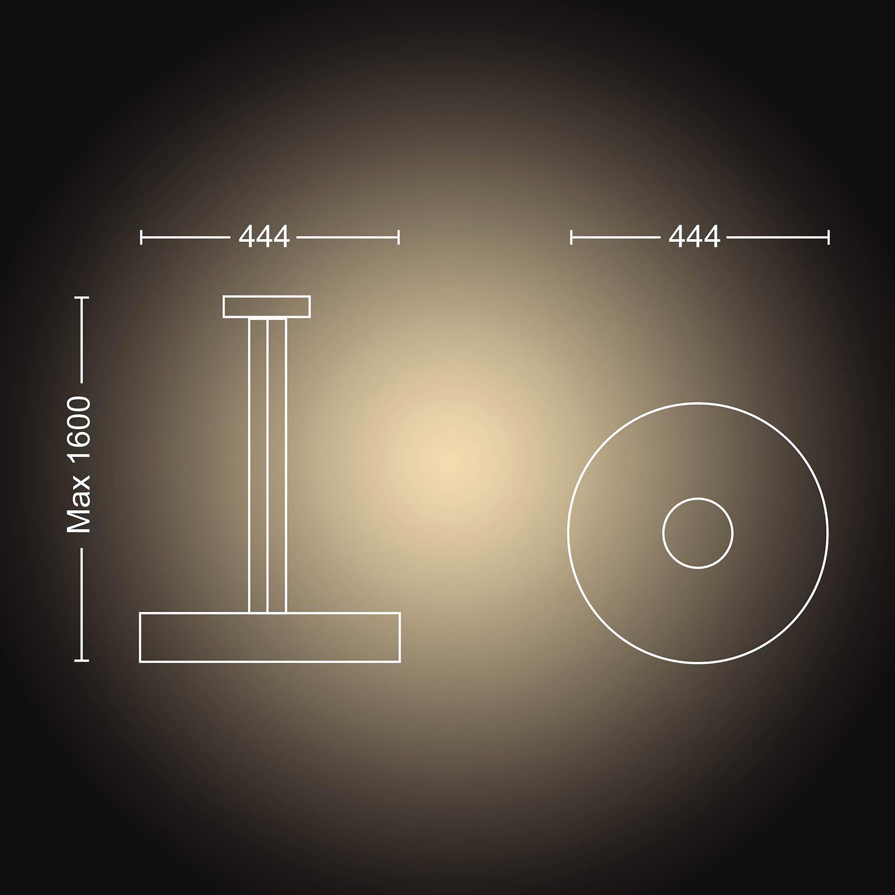 Philips Hue Fair Hanglamp - Zwart