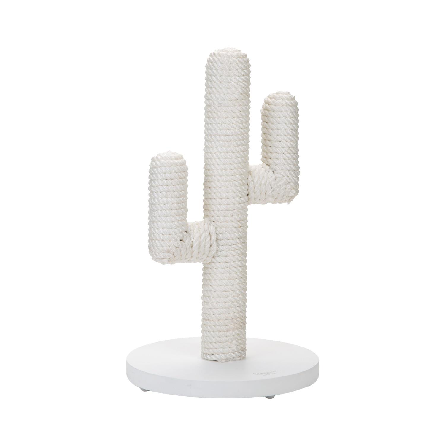 Designed by Lotte Cactus Krabpaal
