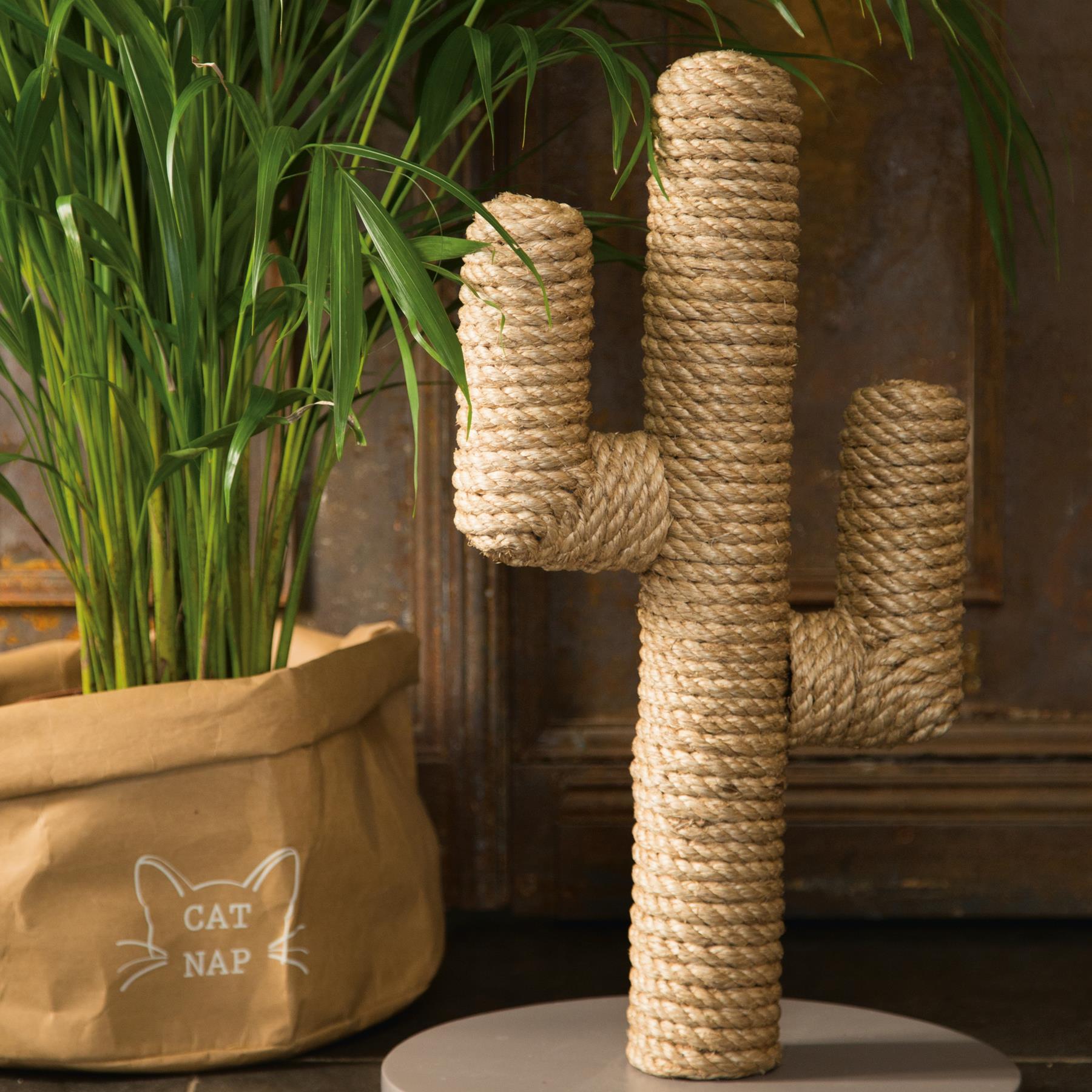 Designed by Lotte Cactus Krabpaal