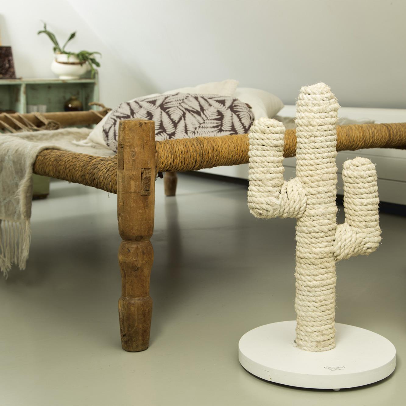 Designed by Lotte Cactus Krabpaal