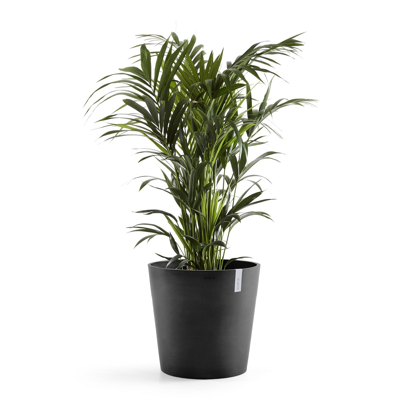 Ecopots Amsterdam 60