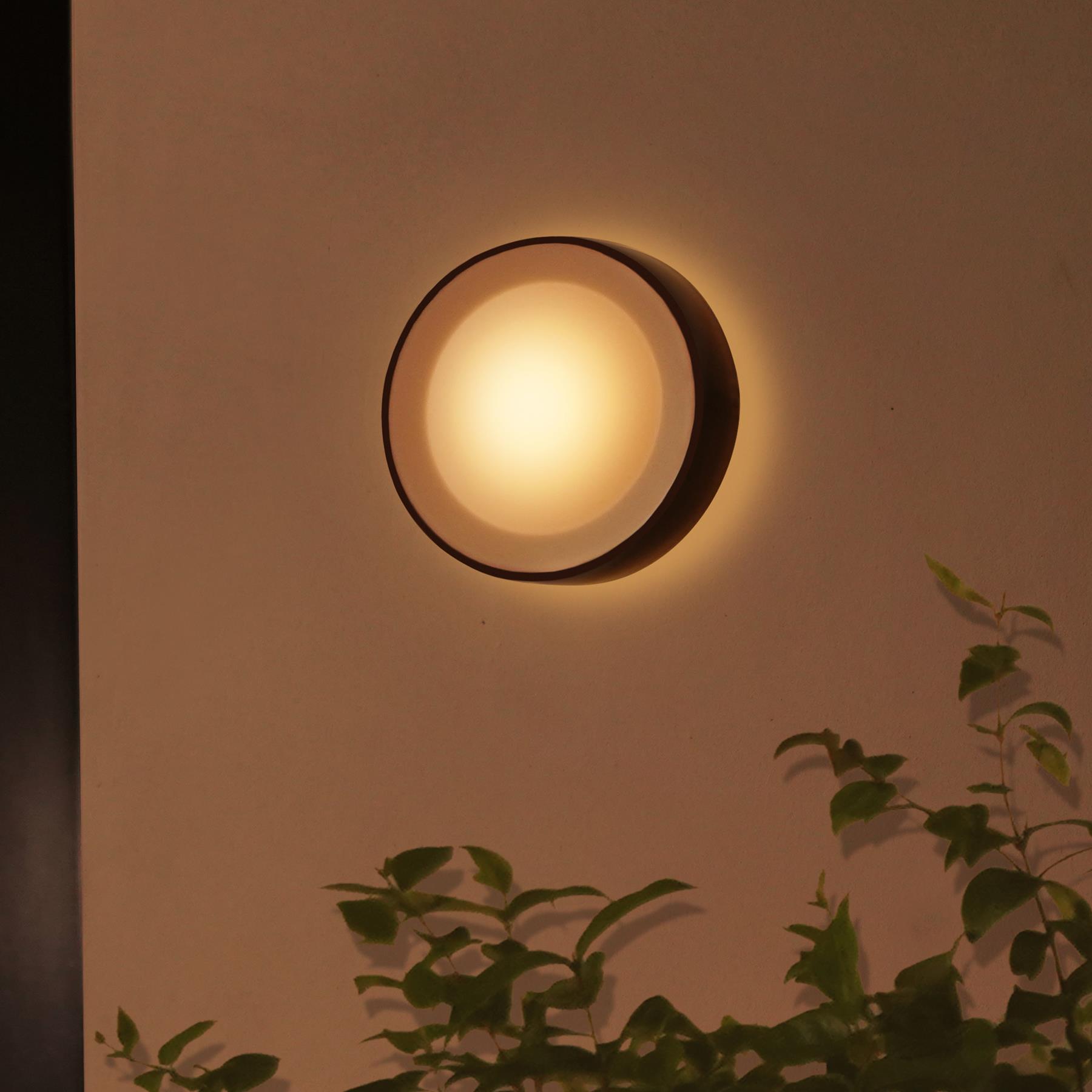 Philips Hue White & Color Ambiance Daylo Wandlamp
