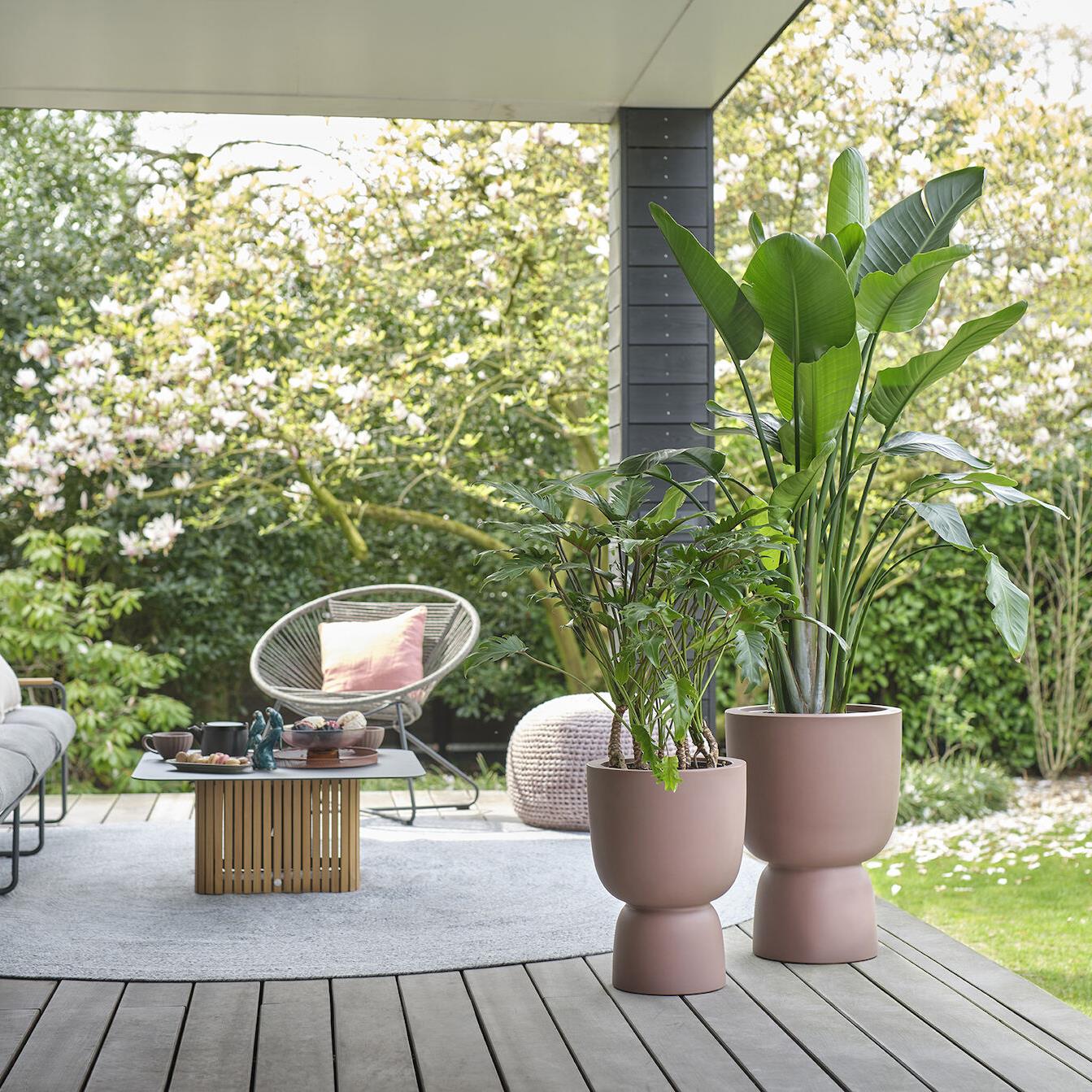 elho Pure Coupe Bloempot Ø 41 cm - Rosy Brown